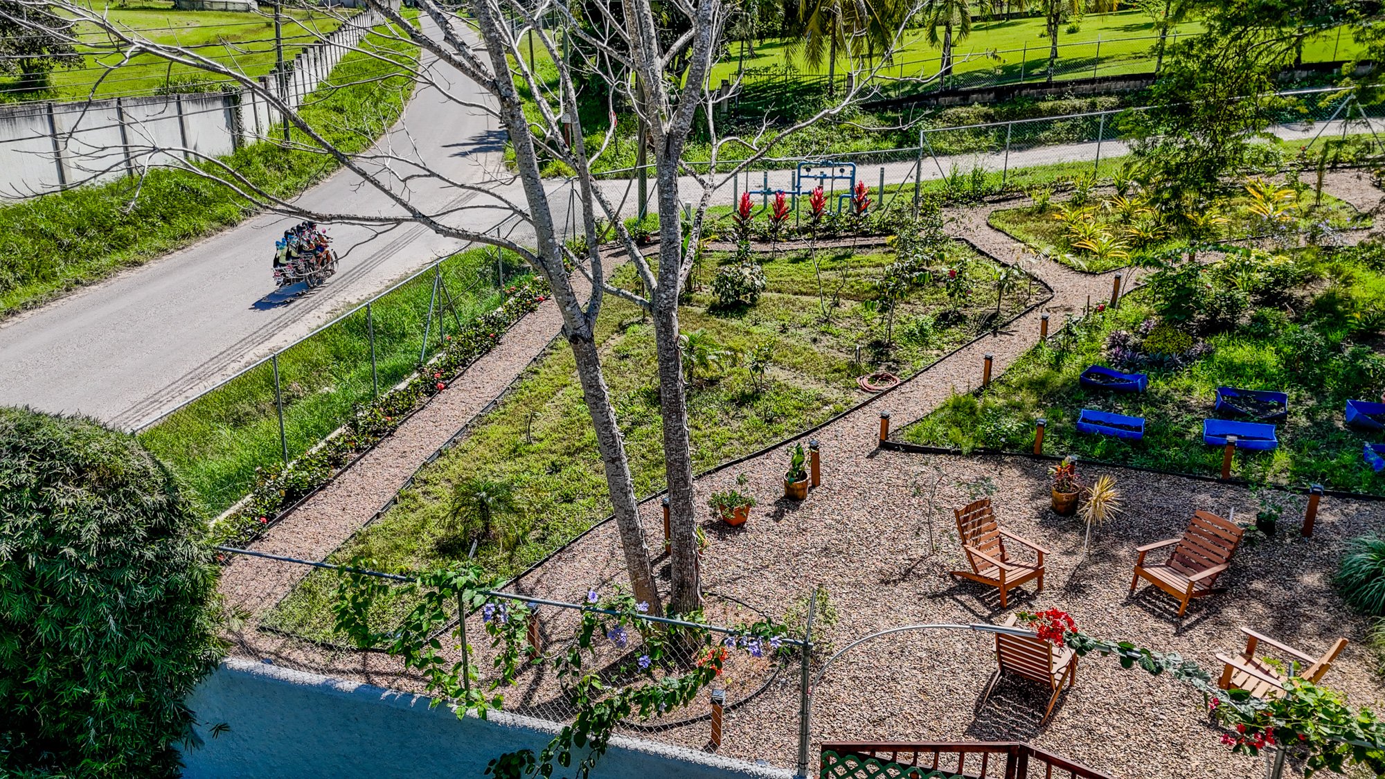 Landscaped grounds of Cayo Mountain View Estate with garden pathways, mature tropical vegetation and outdoor areas surrounding the residence.