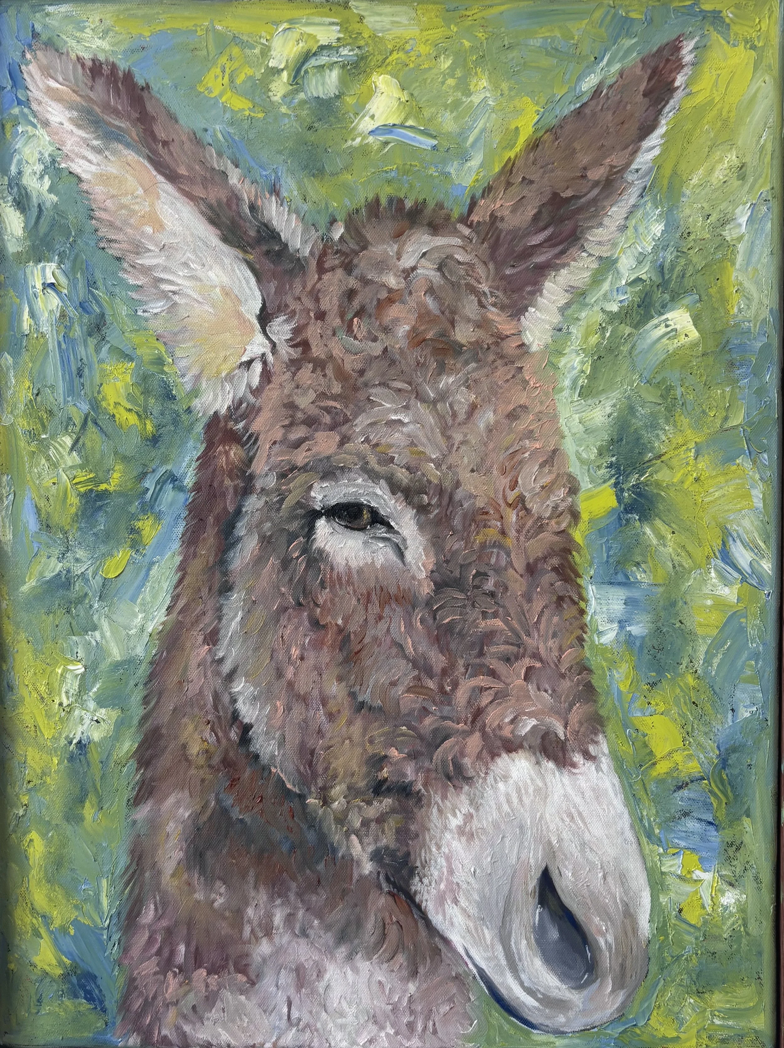 Donkey A