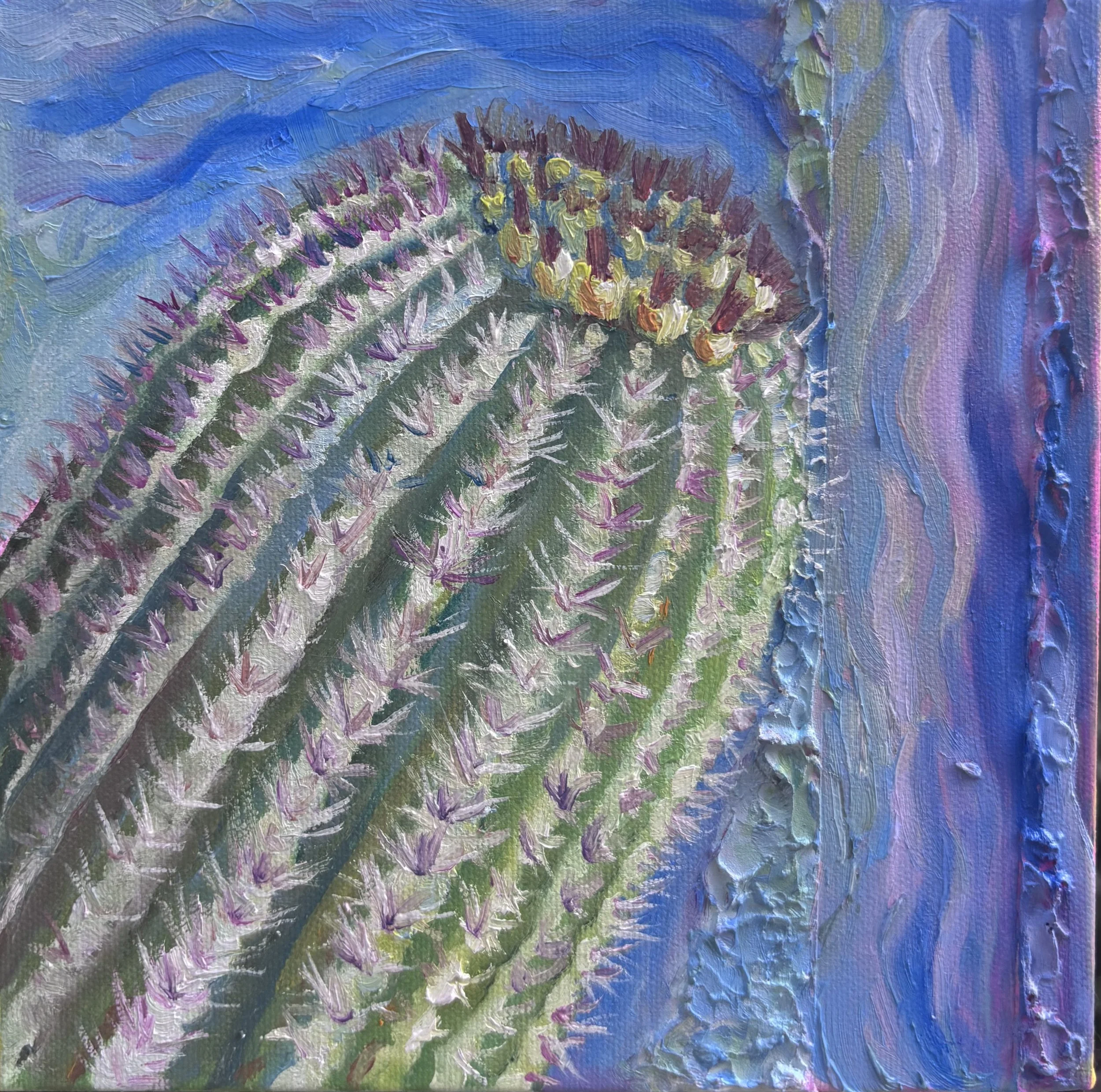 Cactus 4