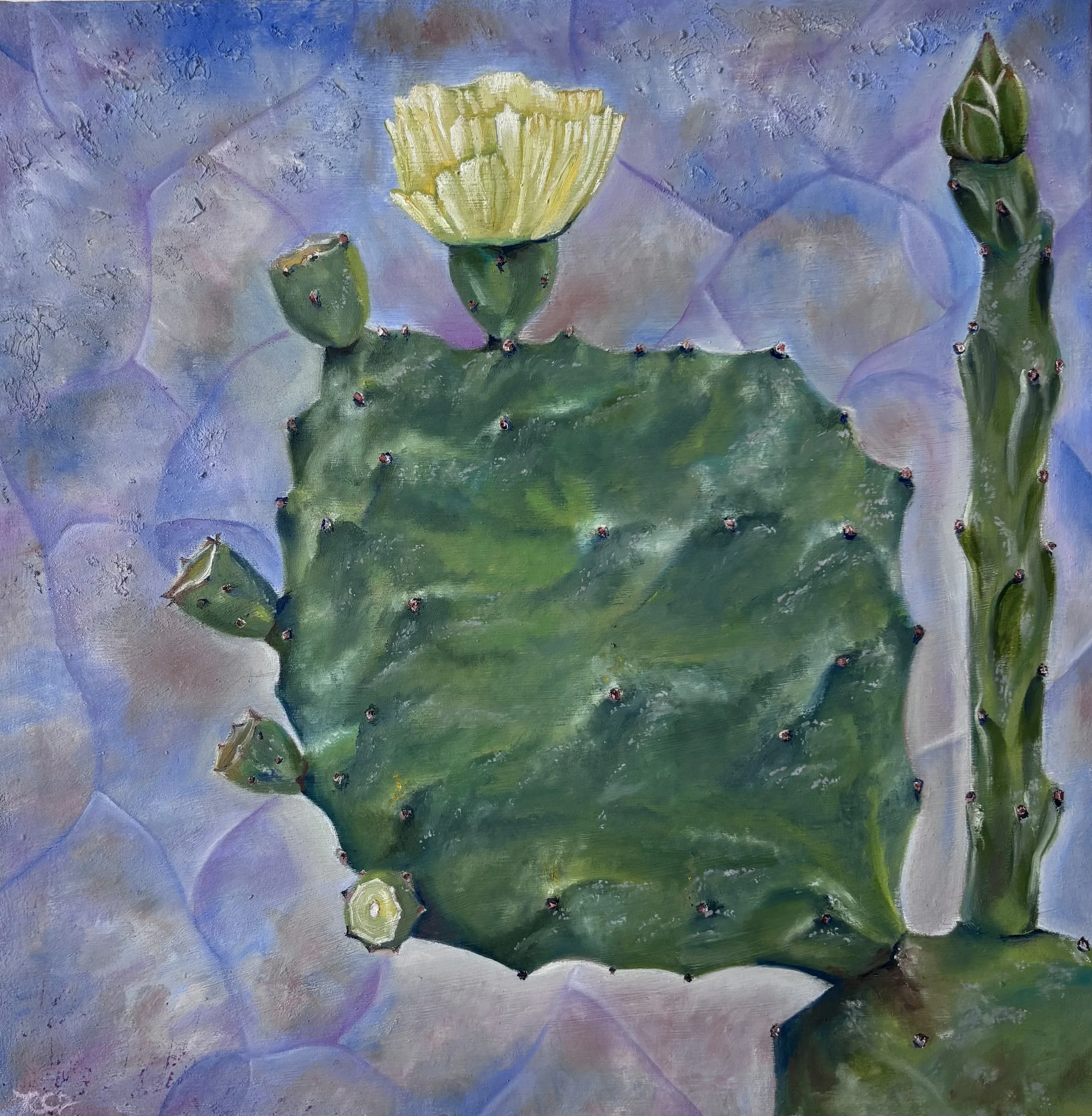 Cactus 7