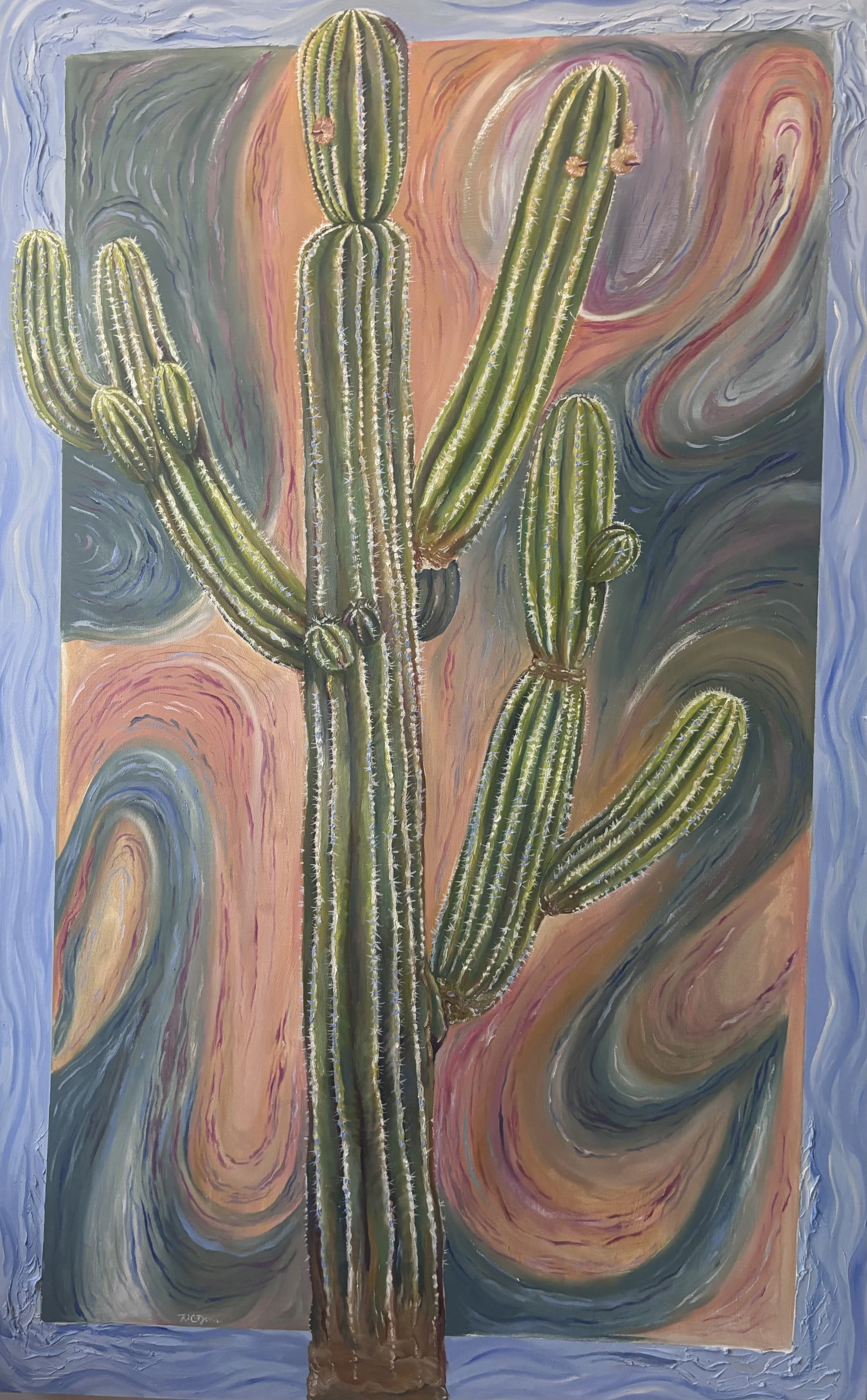Cactus 5