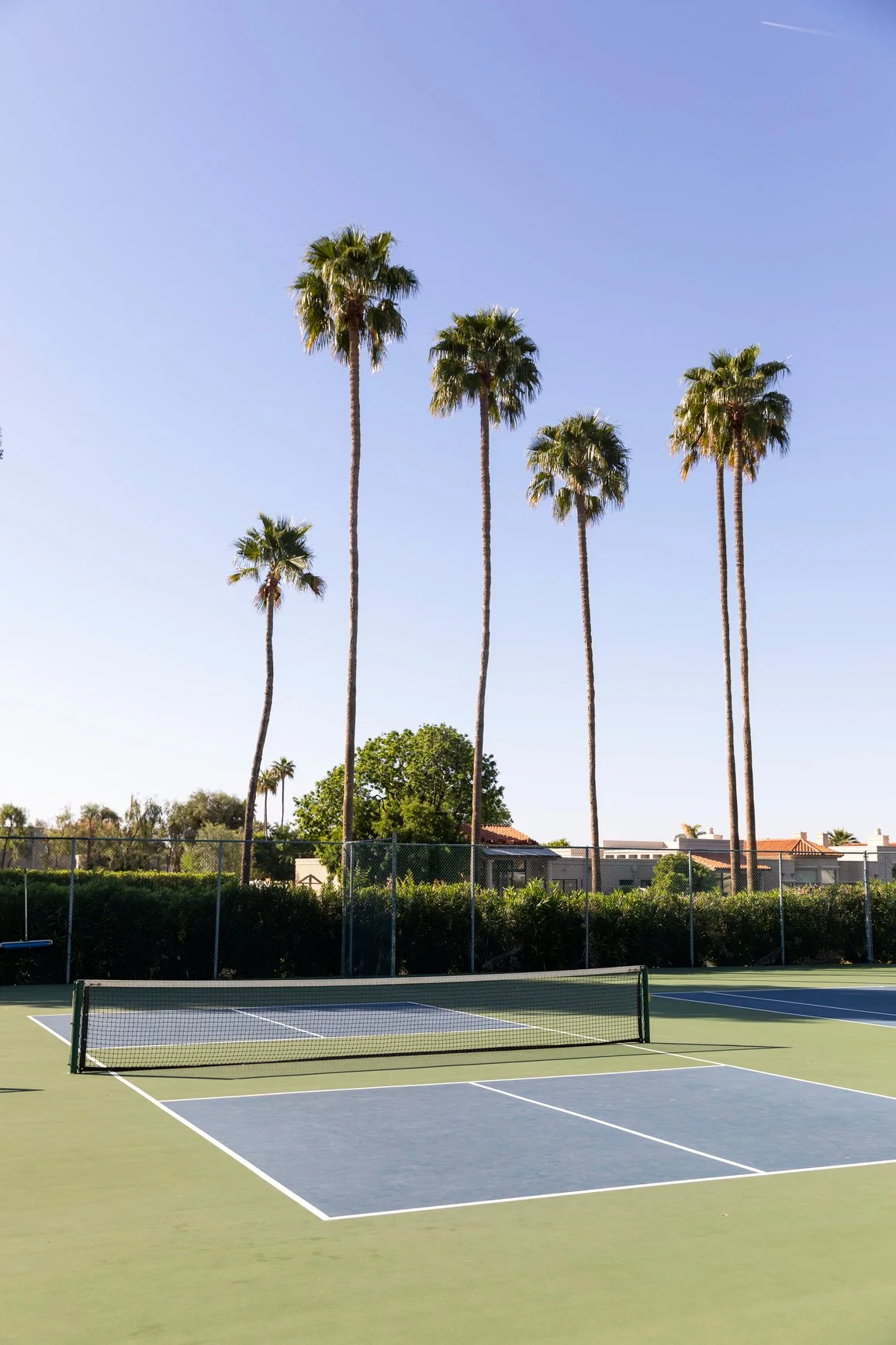 Tennis court with tall palm trees at resort