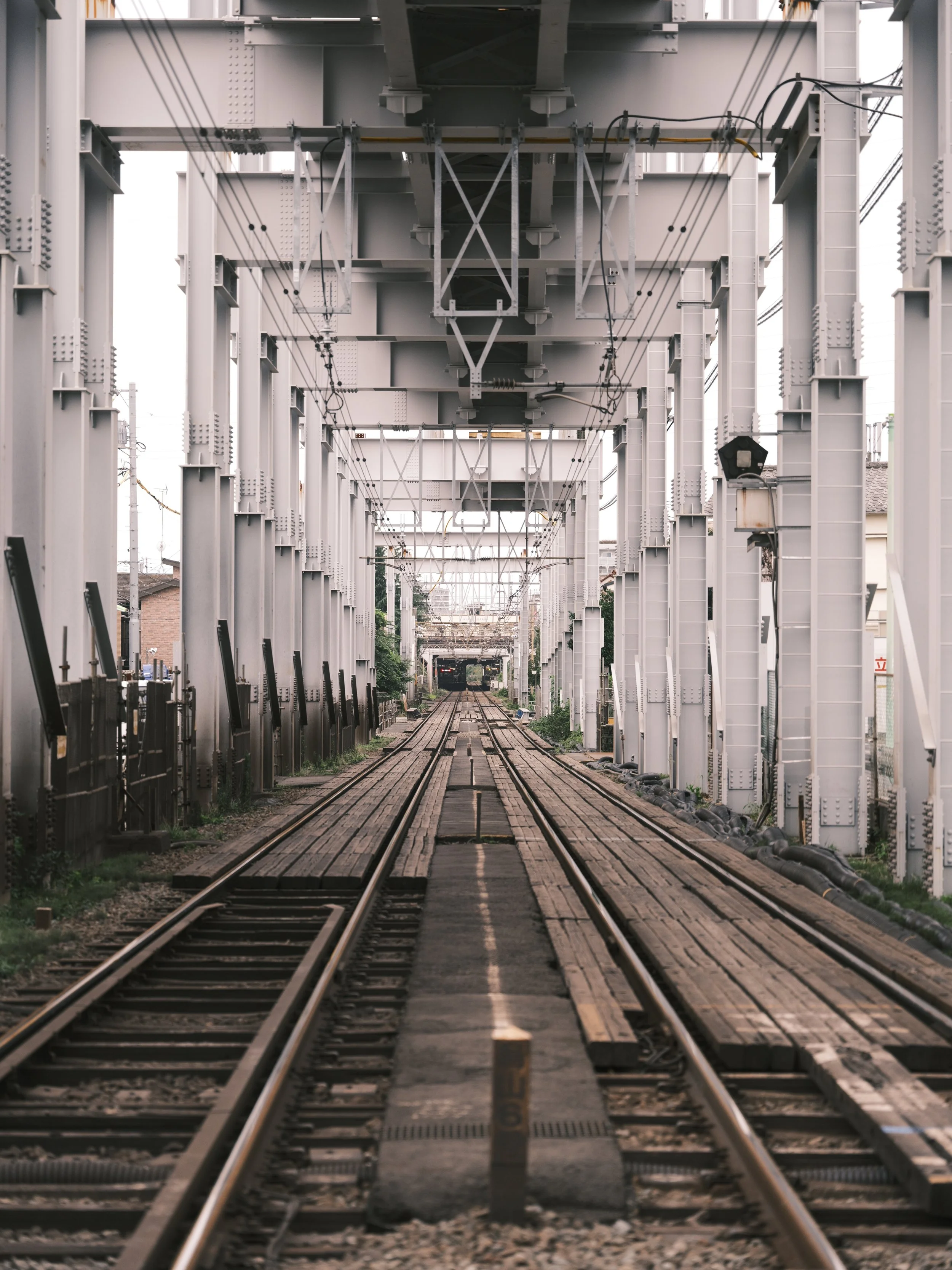_DSF8538.JPG