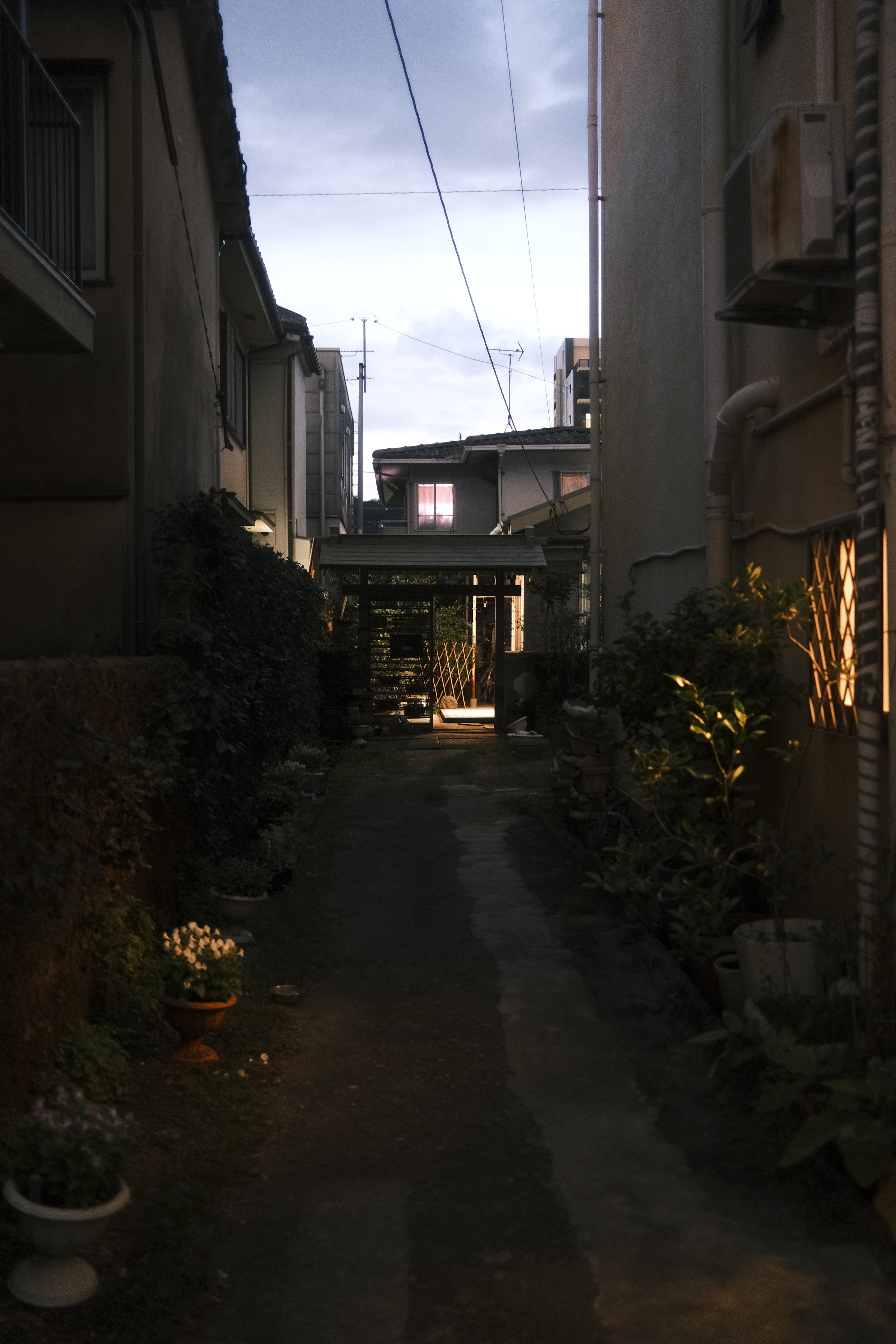 _DSF6634.JPG