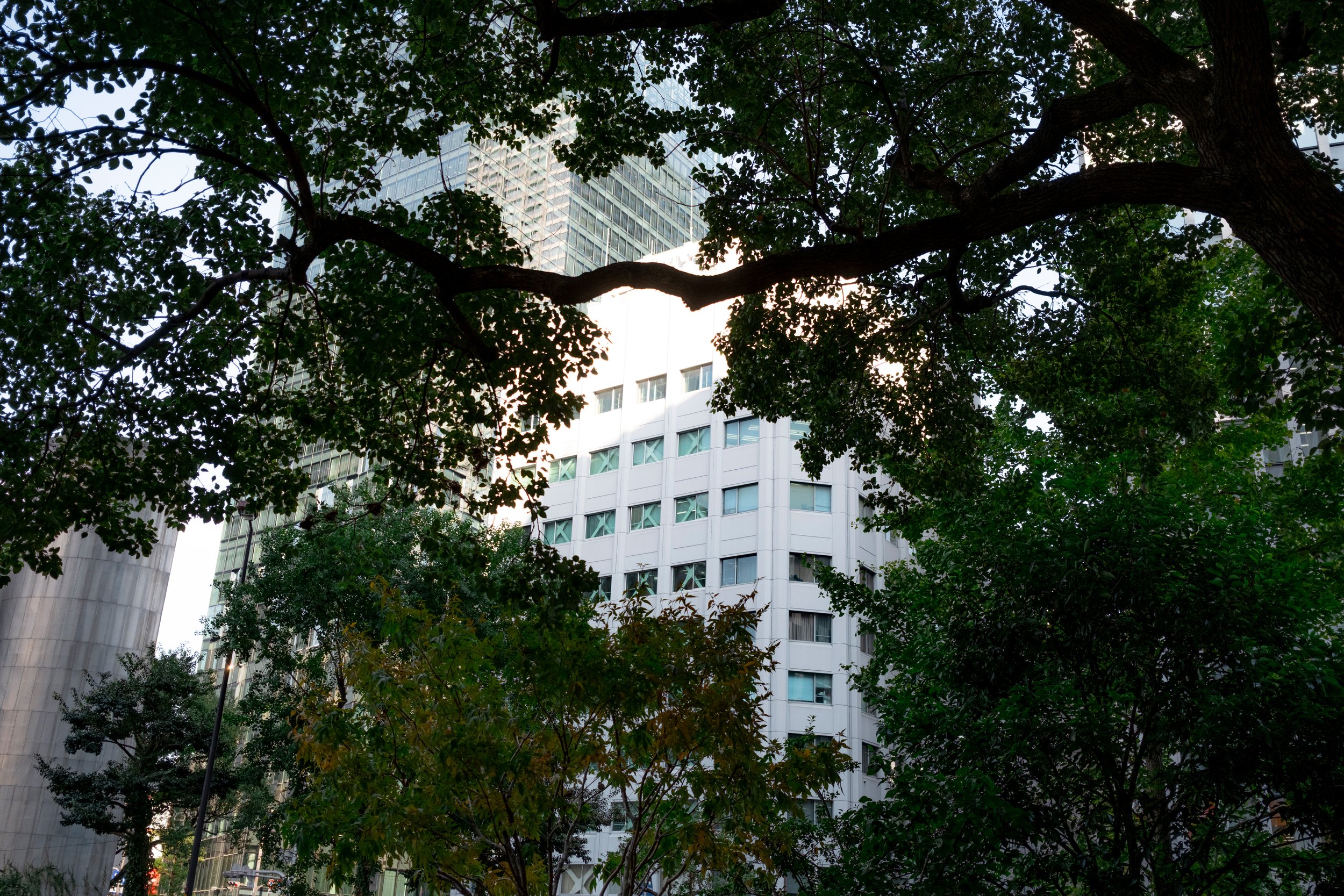 _DSF0407.jpg