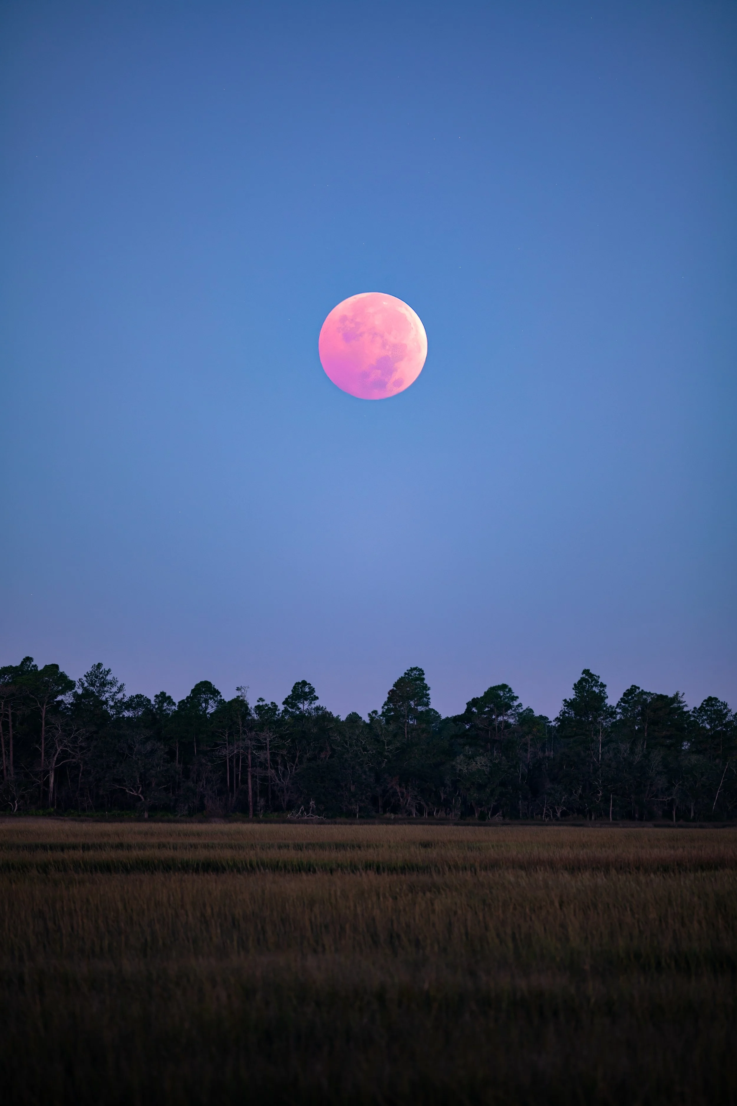 Sunrise Eclipse.JPG