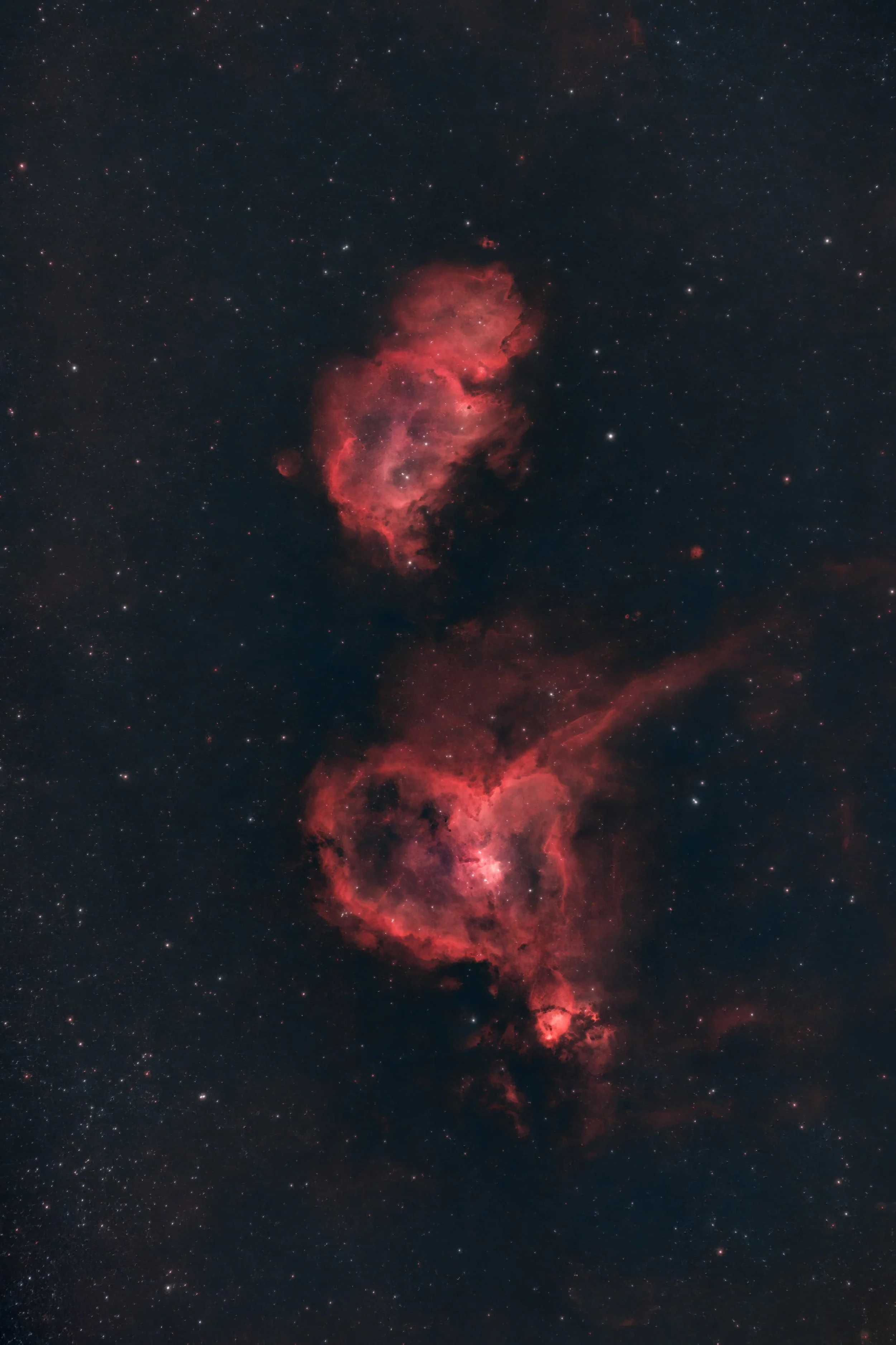 IC1805_edited.JPG