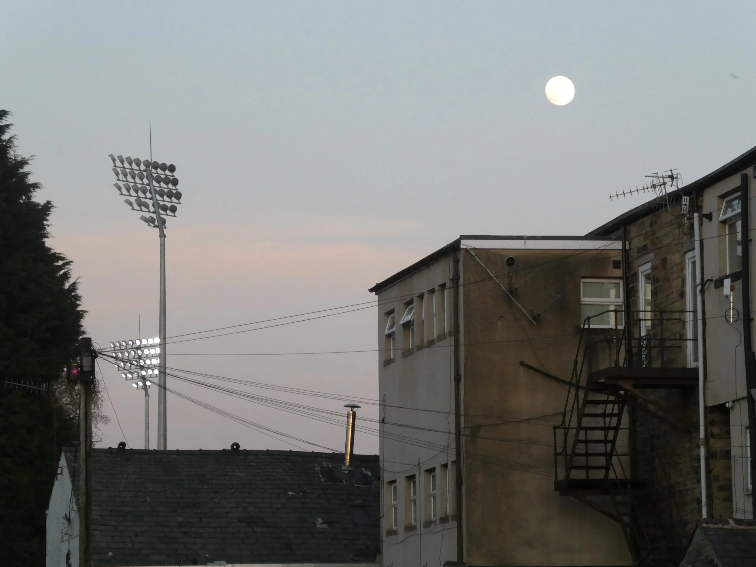 P1011427.JPG