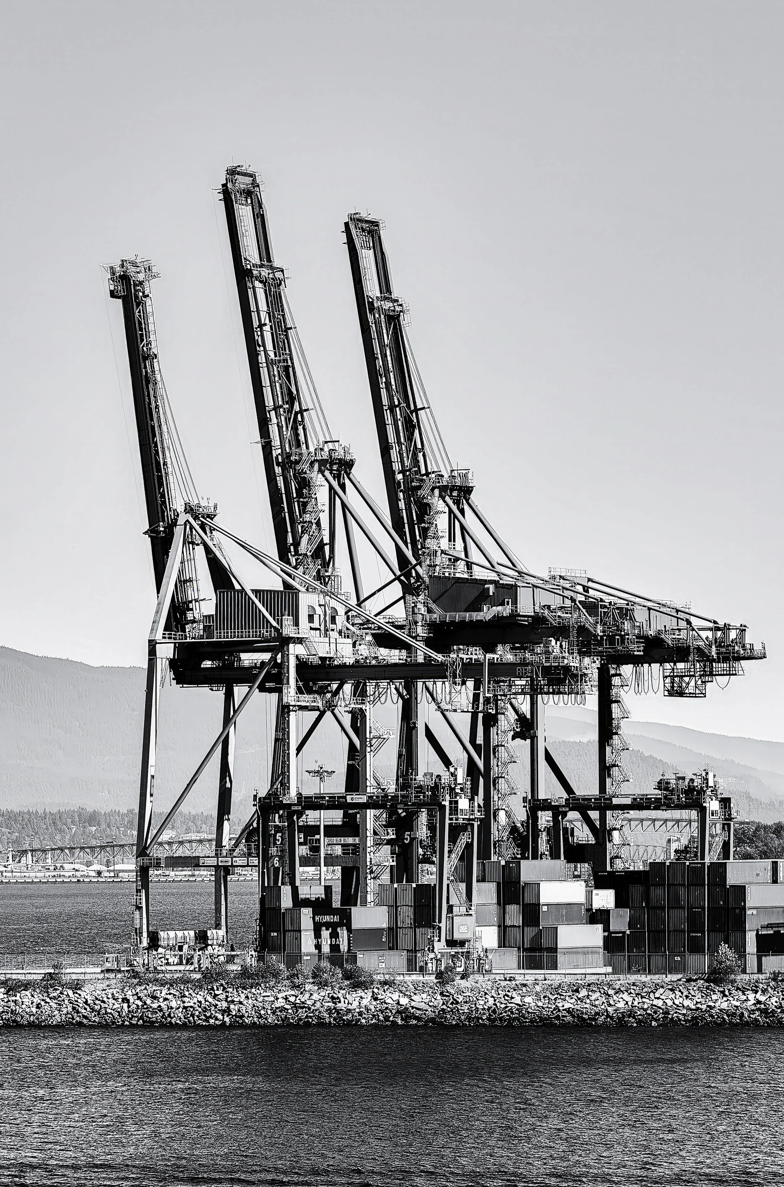 "Port Monoliths"- Towering cranes rise like steel giants above the harbor, a black-and-white study of industry and structure against the quiet sea.