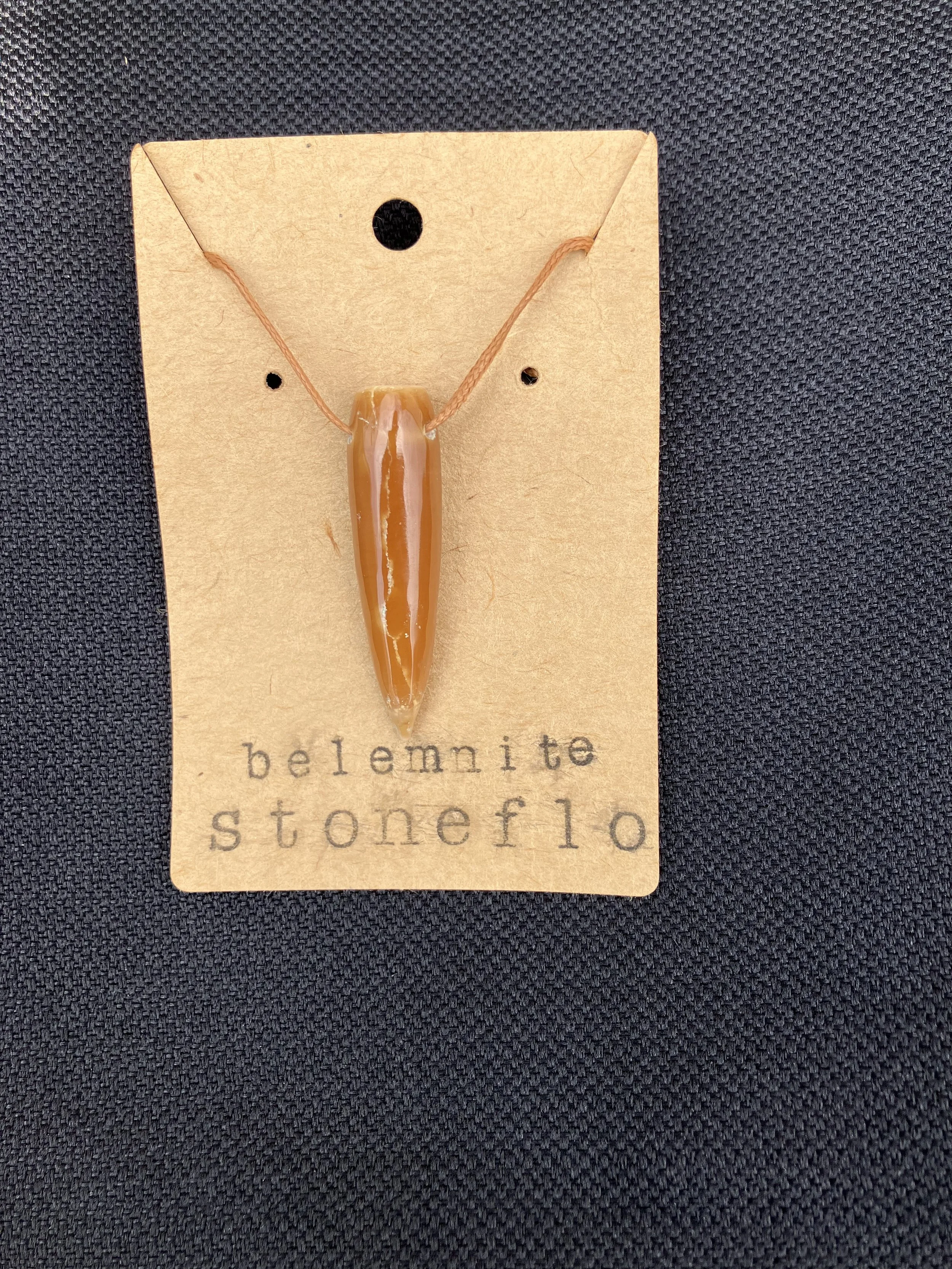 Belemnite Fossil