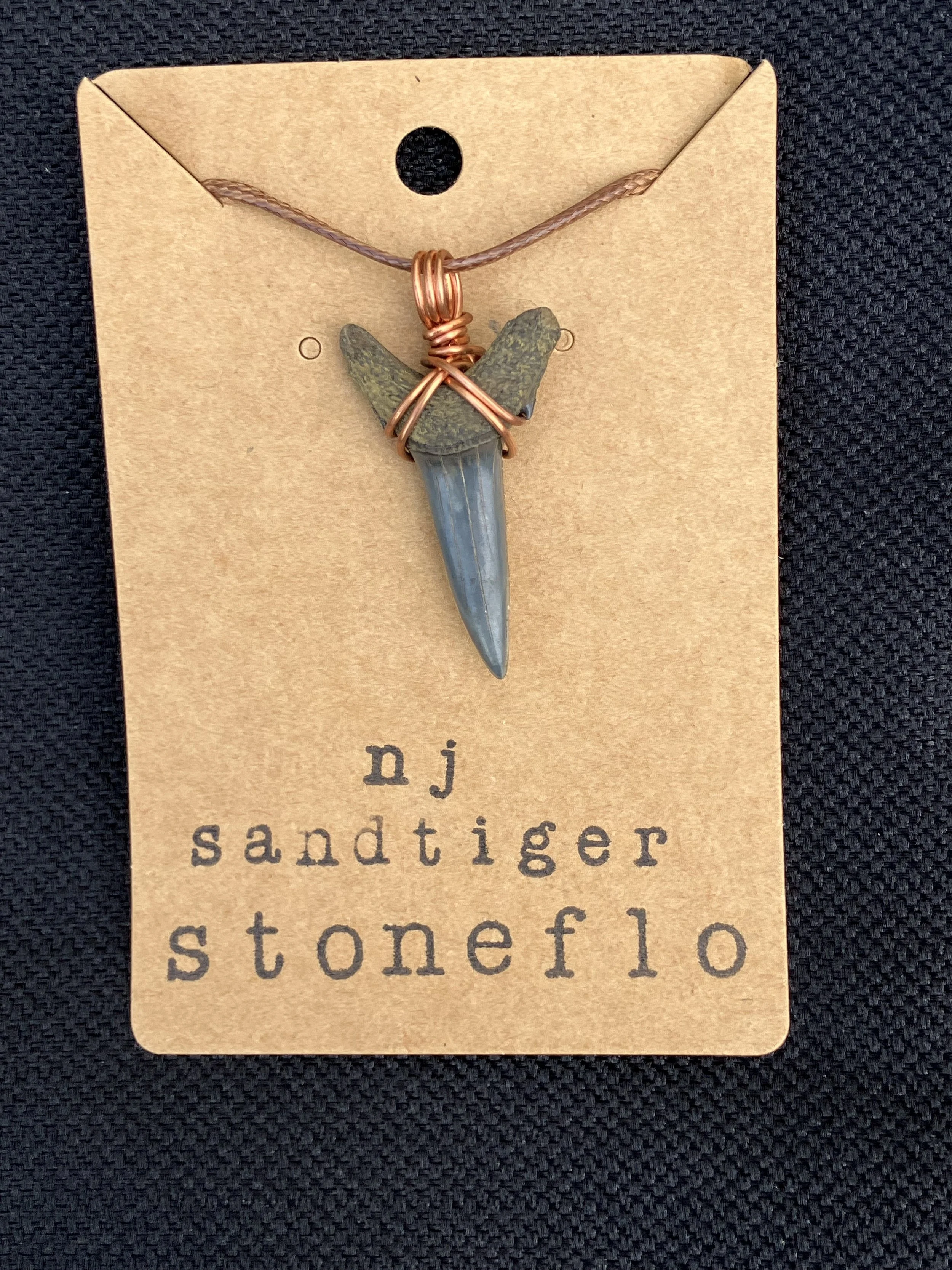 Fossilized Sand Tiger Tooth