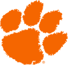 Pegada de pata de tigre laranja