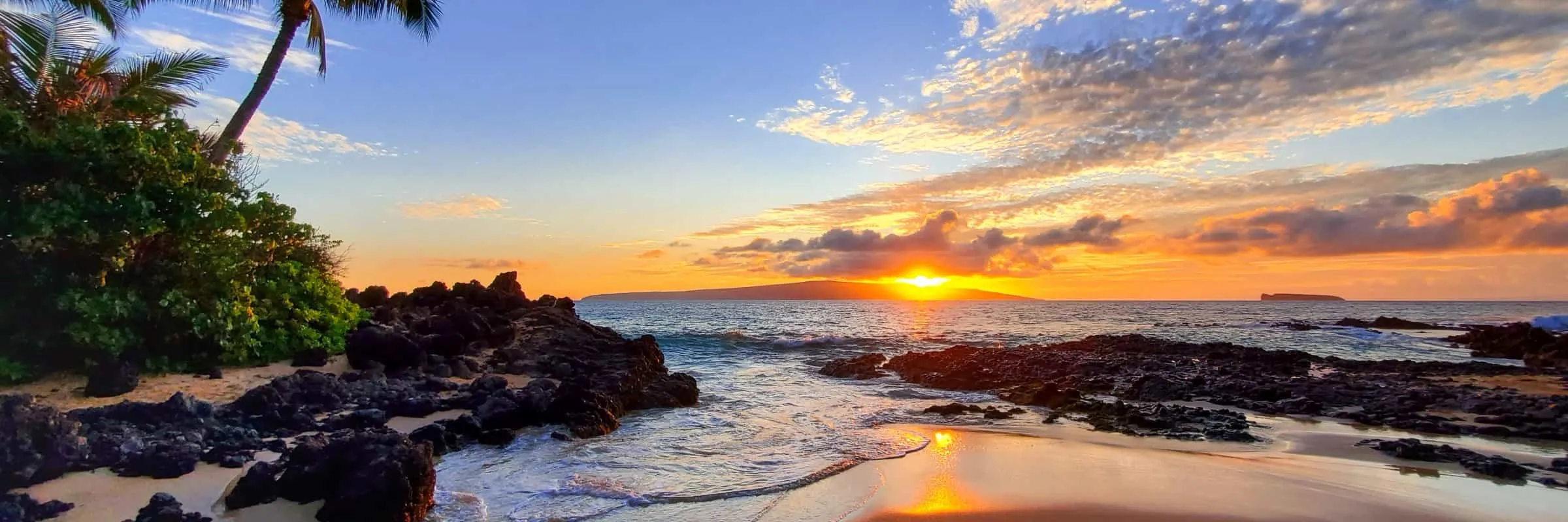 Sunset over the ocean with orange and pink clouds, rocky shoreline, palm trees, and green bushes on the left.