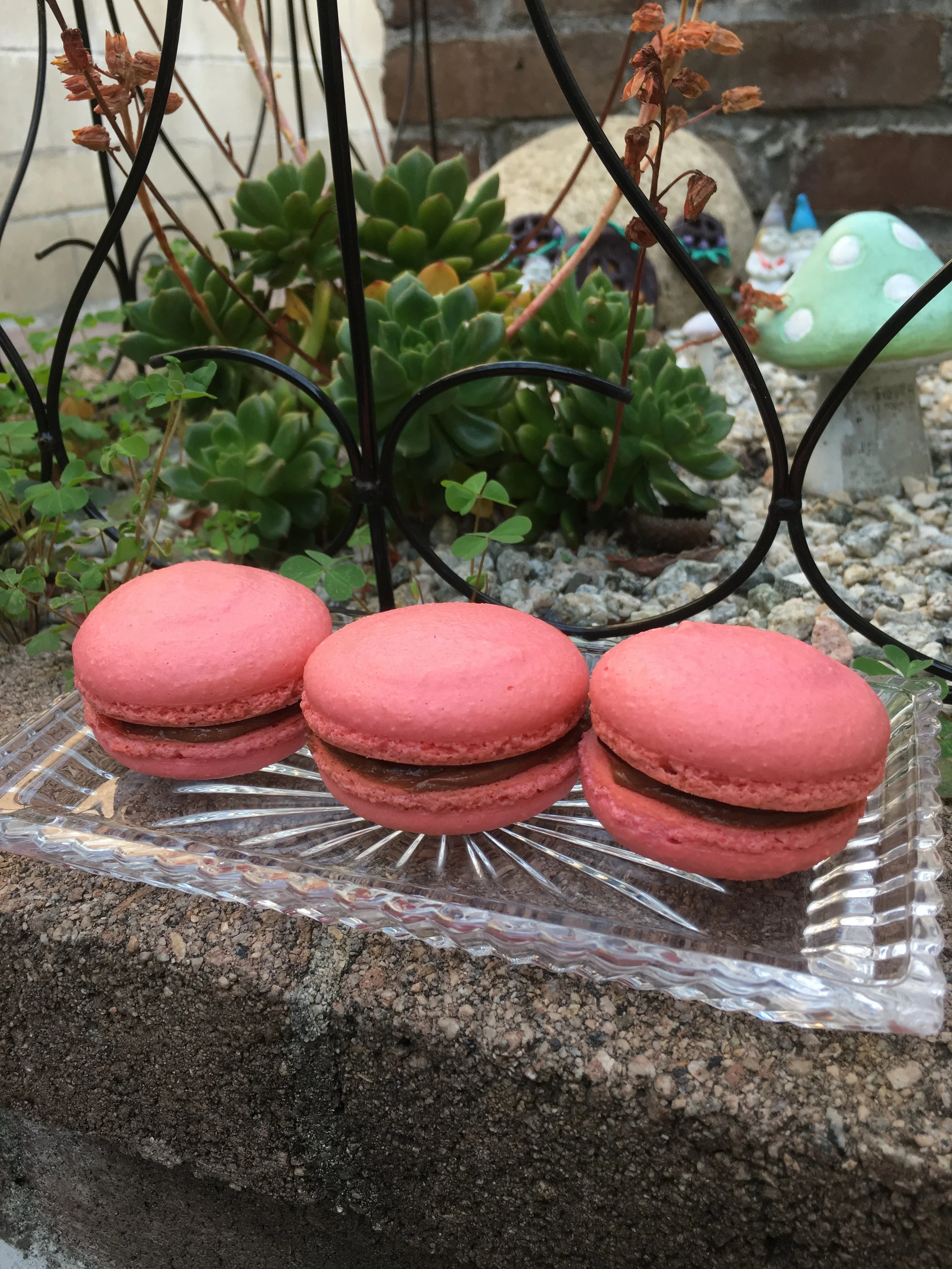 Raspberry Chocolate Macarons