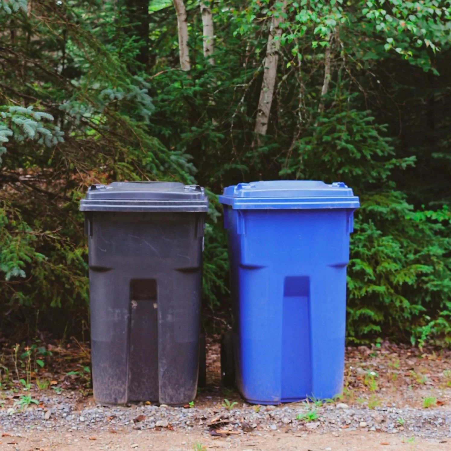 Black and blue trash bins placed outdoors on a dirt ground with green trees and bushes in the background.
