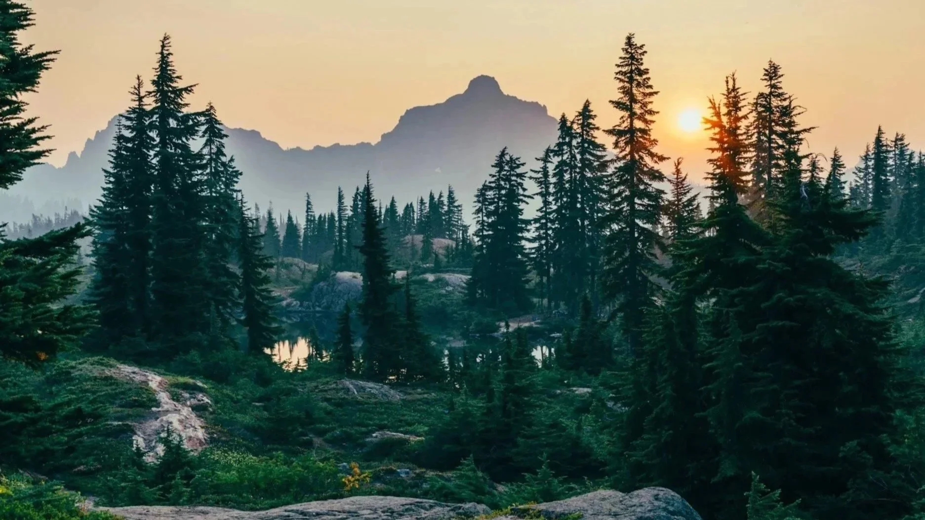 Sunset over a dense forest of tall pine trees with mountains in the background and a small lake in the foreground.