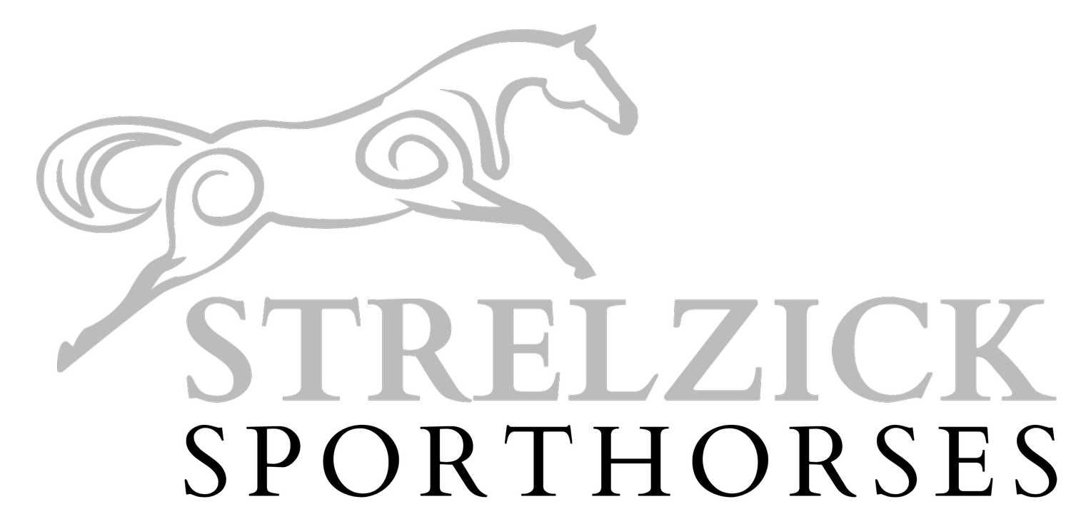 Strelzick Sporthorses