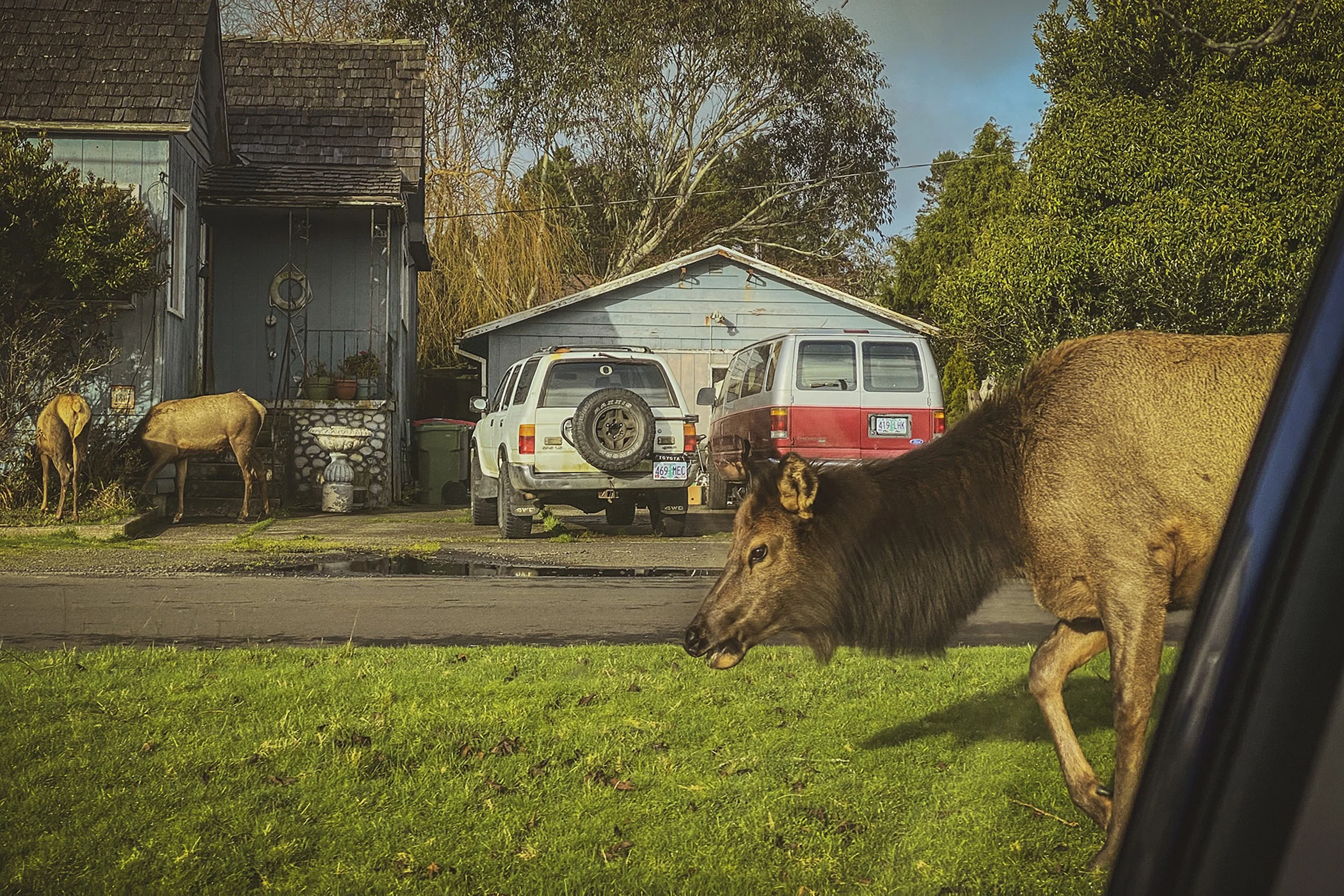 mh_elktown-6487.jpg