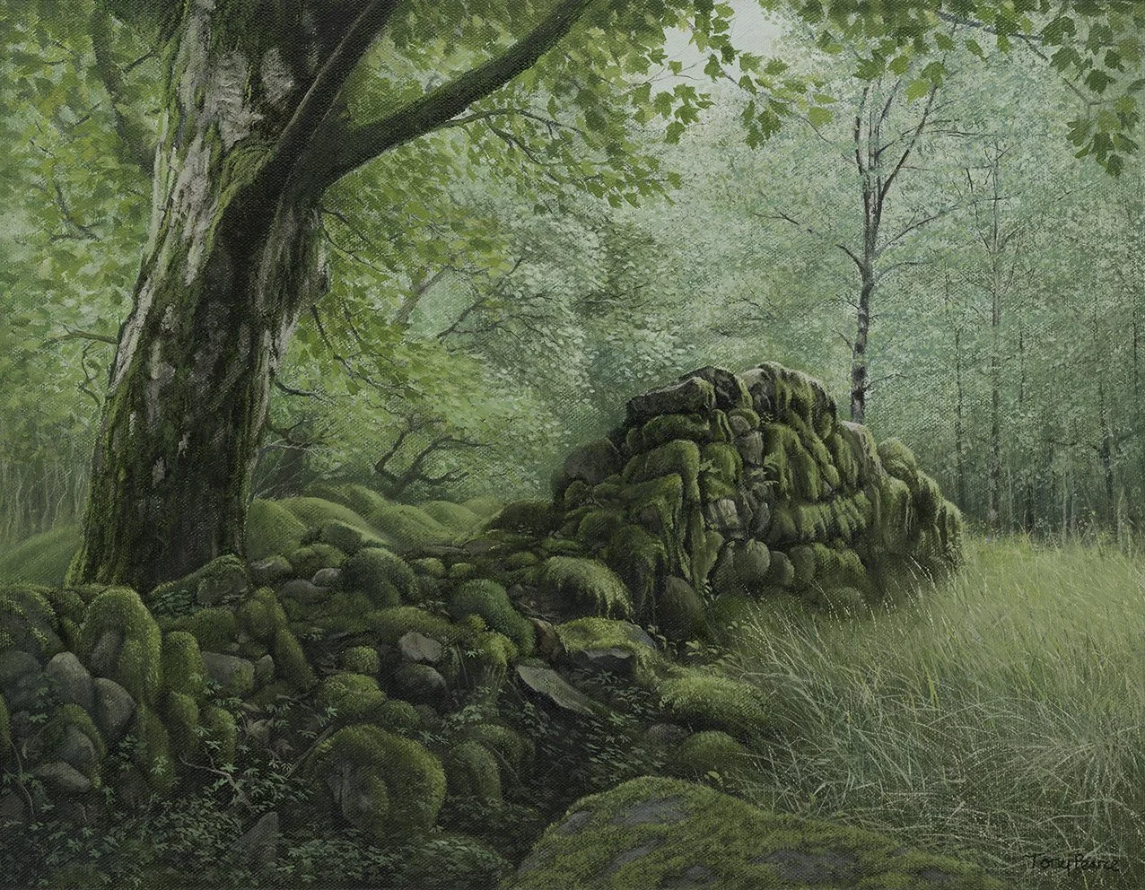 WOODLAND REMNANT - Limited Edition Print