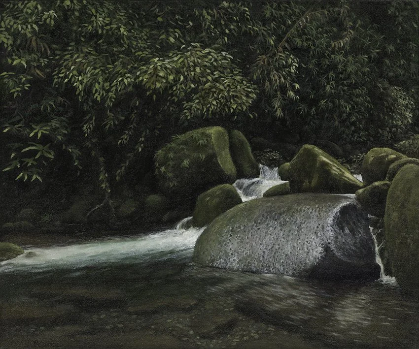 THE SOUND OF THE FOREST - Limited Print Edition