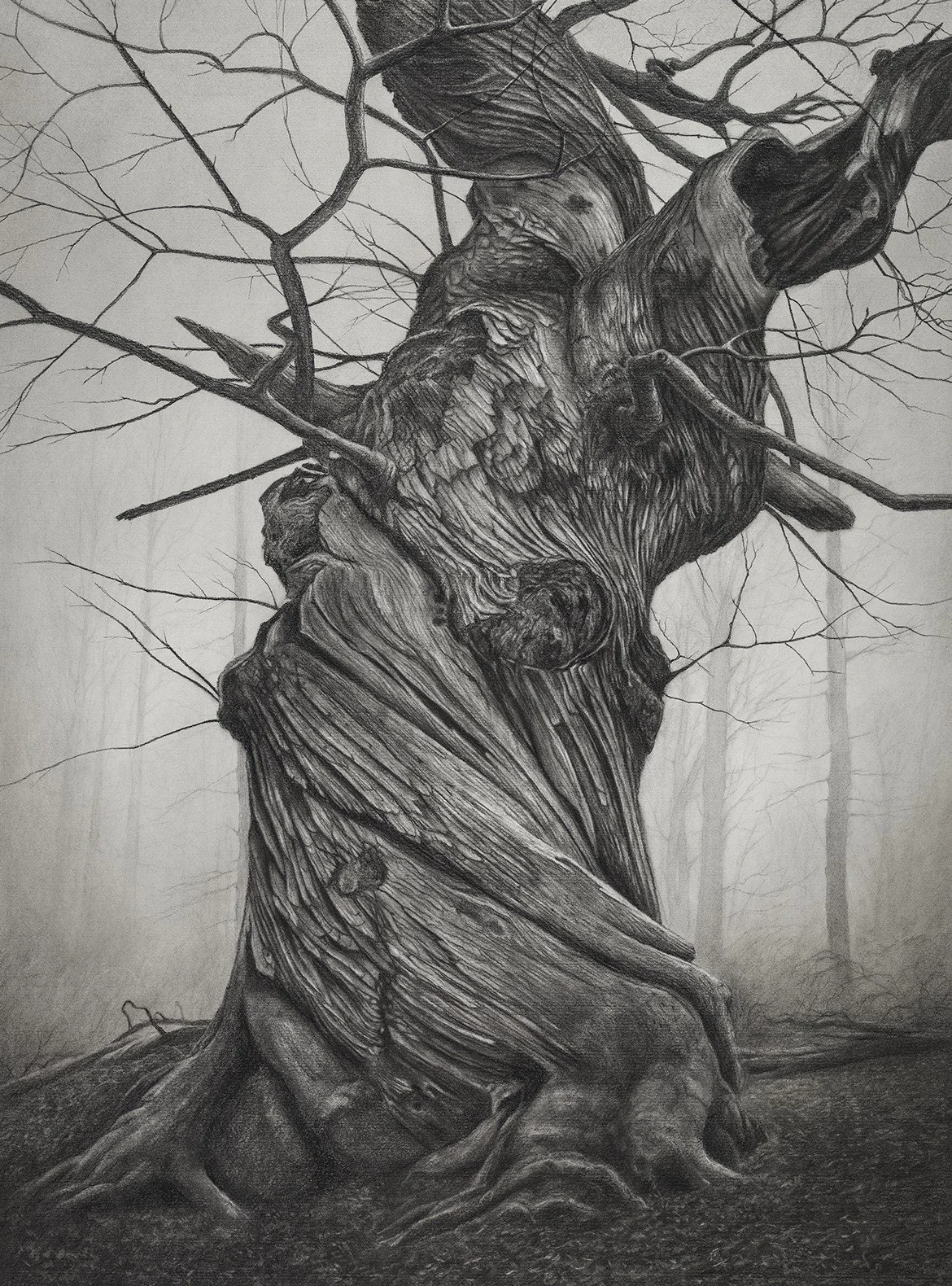 A detailed black and white drawing of an old, gnarled tree with textured bark and bare branches in a foggy forest setting.