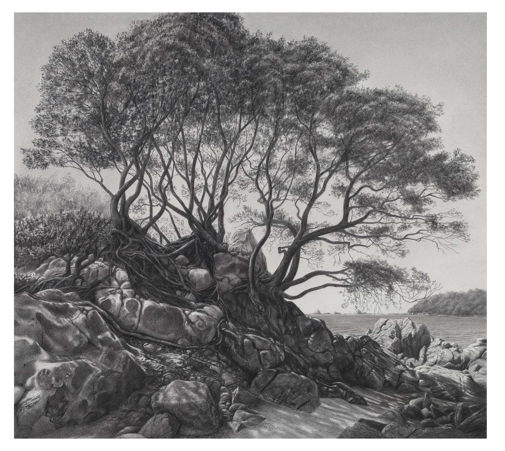 MOTURIKI ISLAND, MOUNT MAUNGANUI NZ- Limited Print Edition