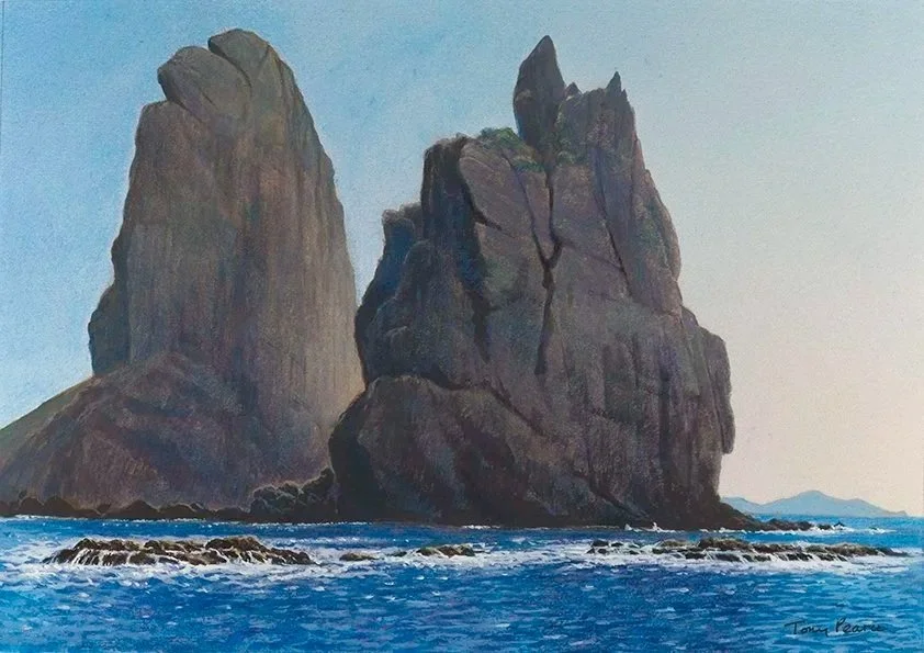 Port+Charles+Coromandel+NZ.jpg