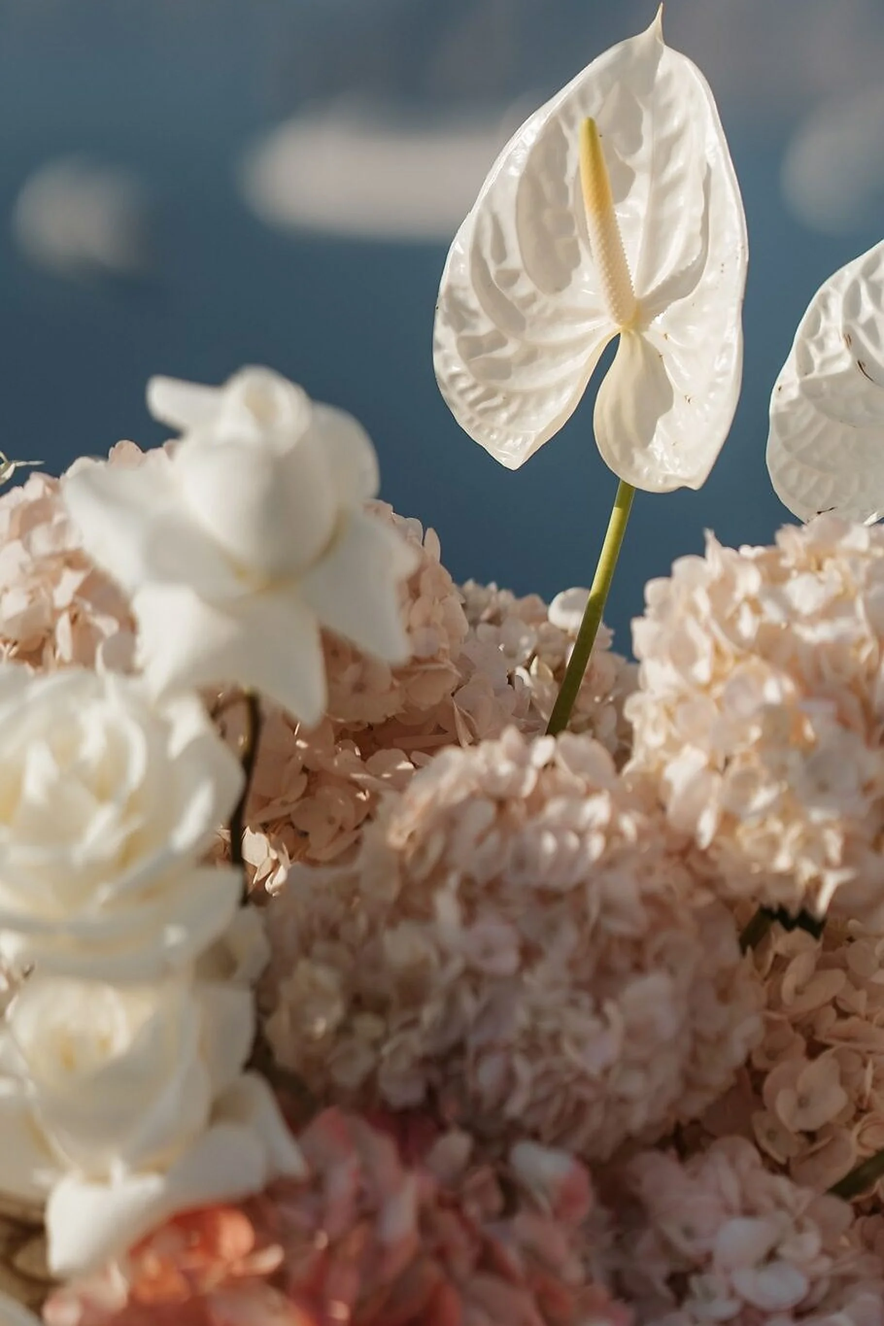Closeup_Florals_upscaled.jpg