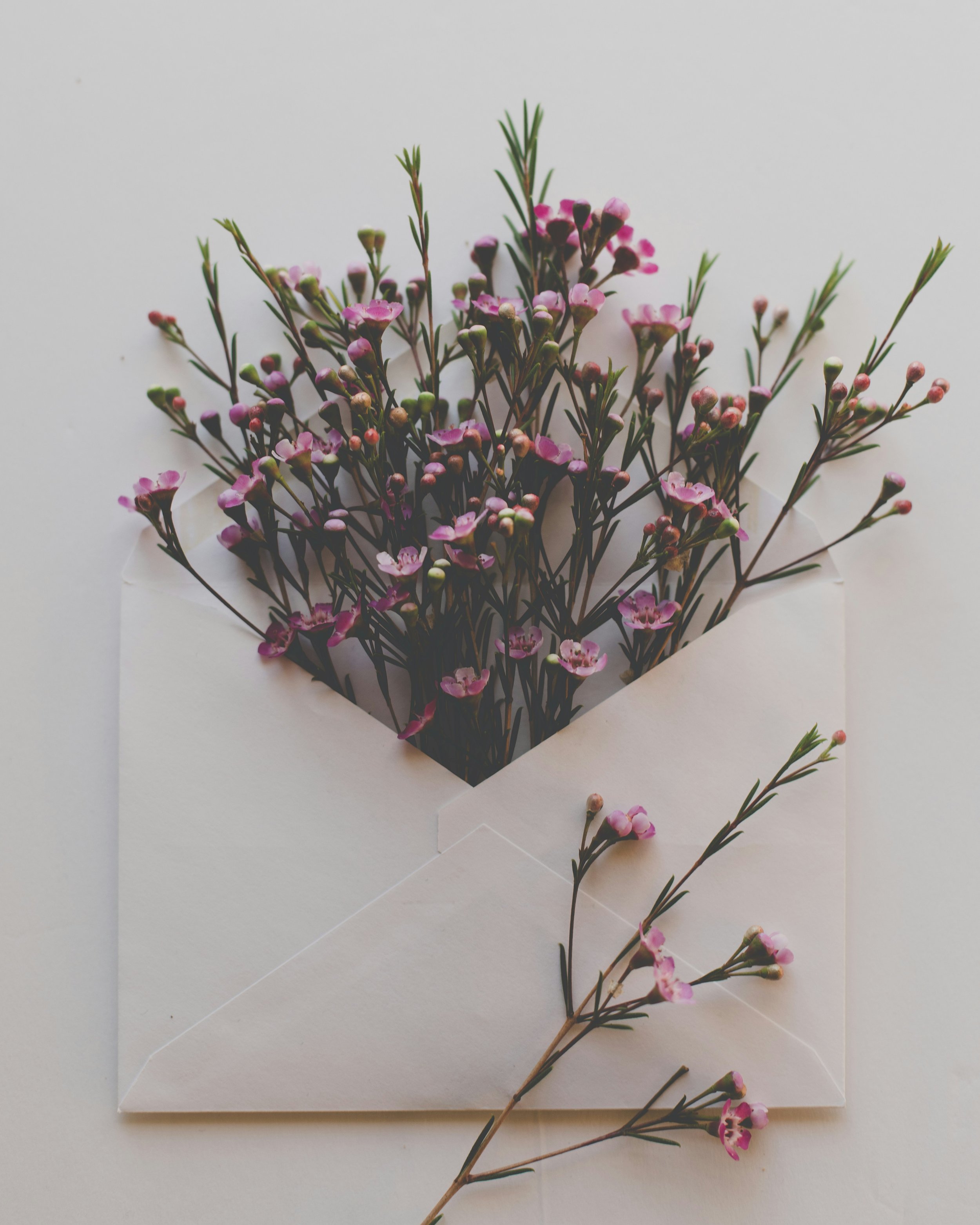 A Letter to the Mom Building a Blended Family