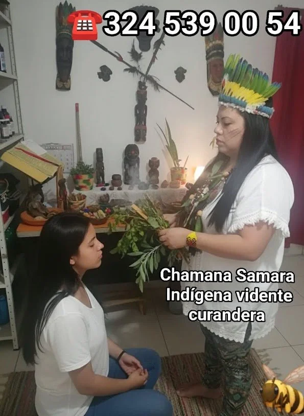 Una mujer indígena vestida con un tocado colorido de plumas y ropa tradicional ofrece plantas a una joven sentada en posición de respeto, en un ambiente con decoraciones y objetos culturales indígenas.