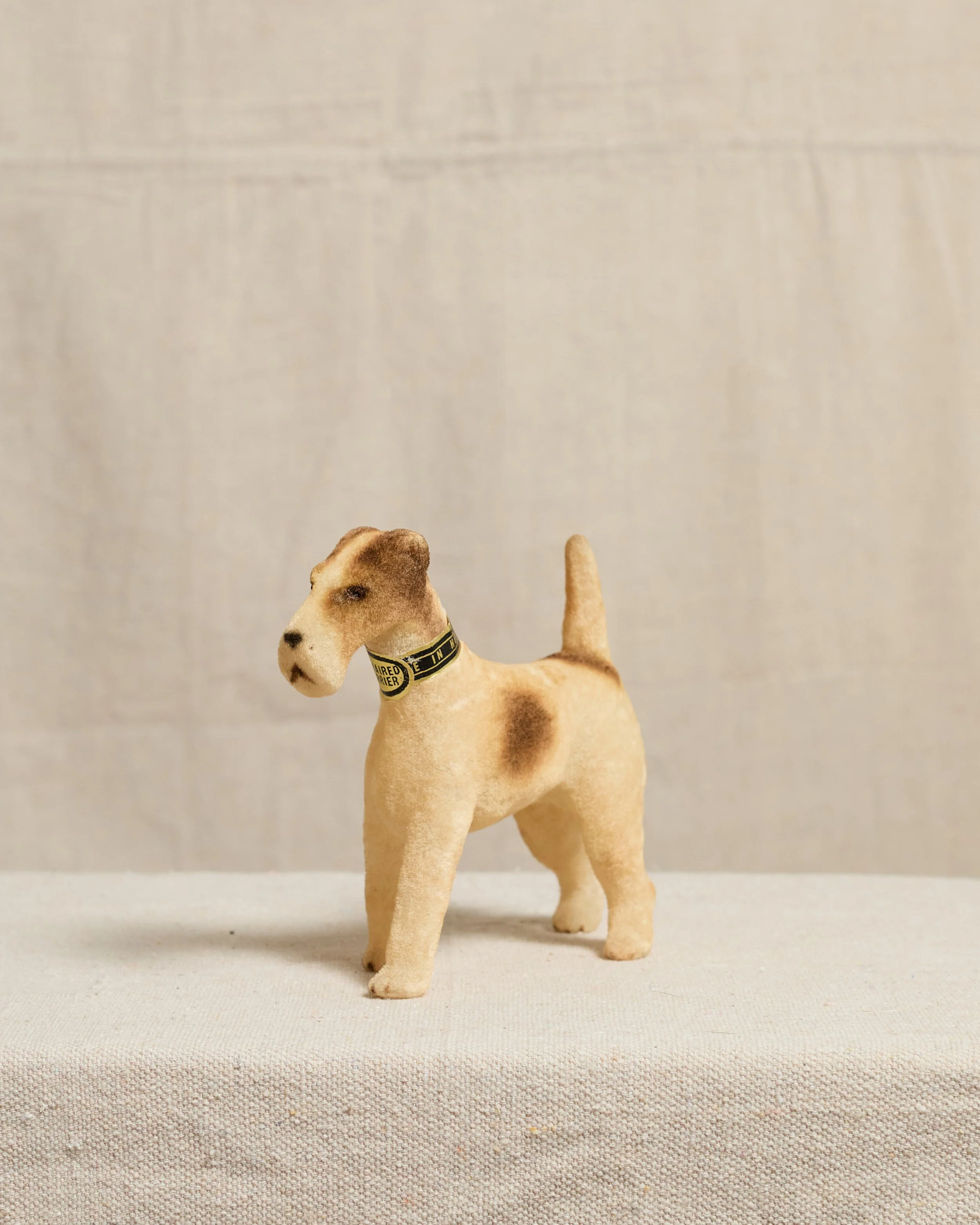 MohairDog_Website_030.jpg