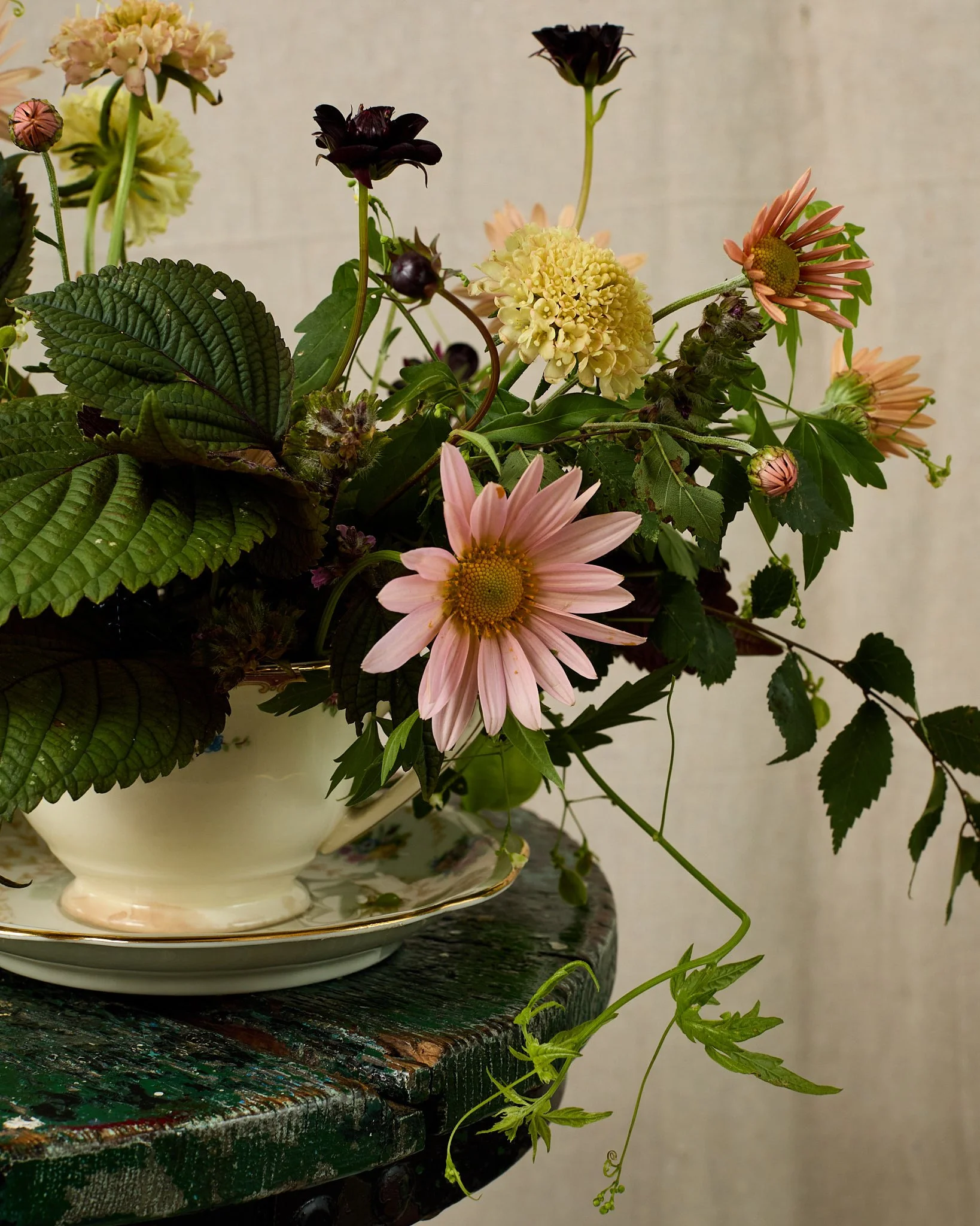 TeacupWorkshop_098.jpg