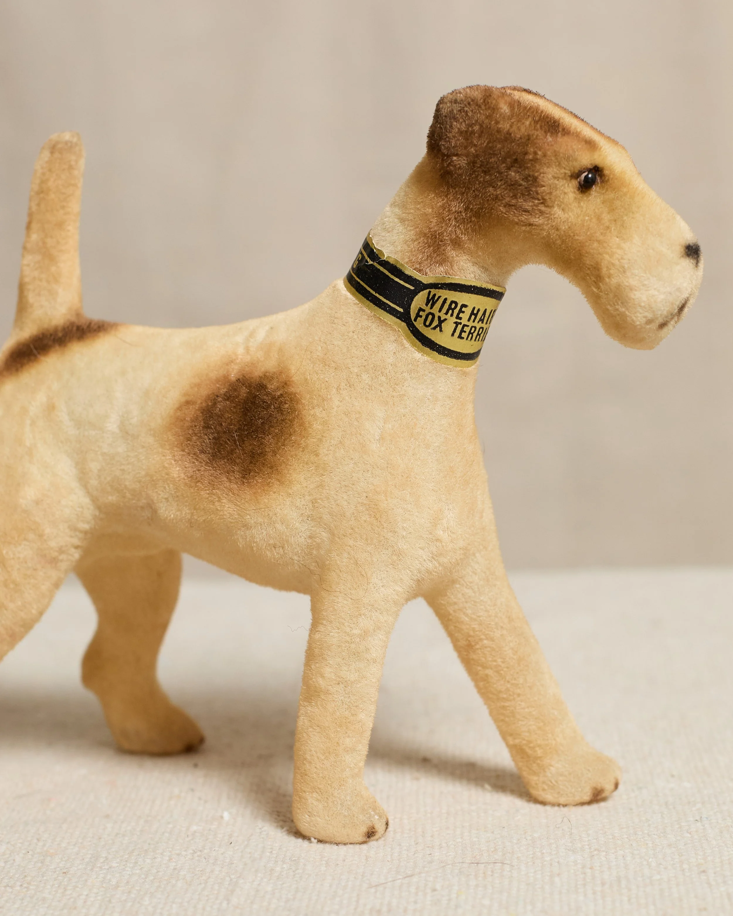 MohairDog_Website_032.jpg