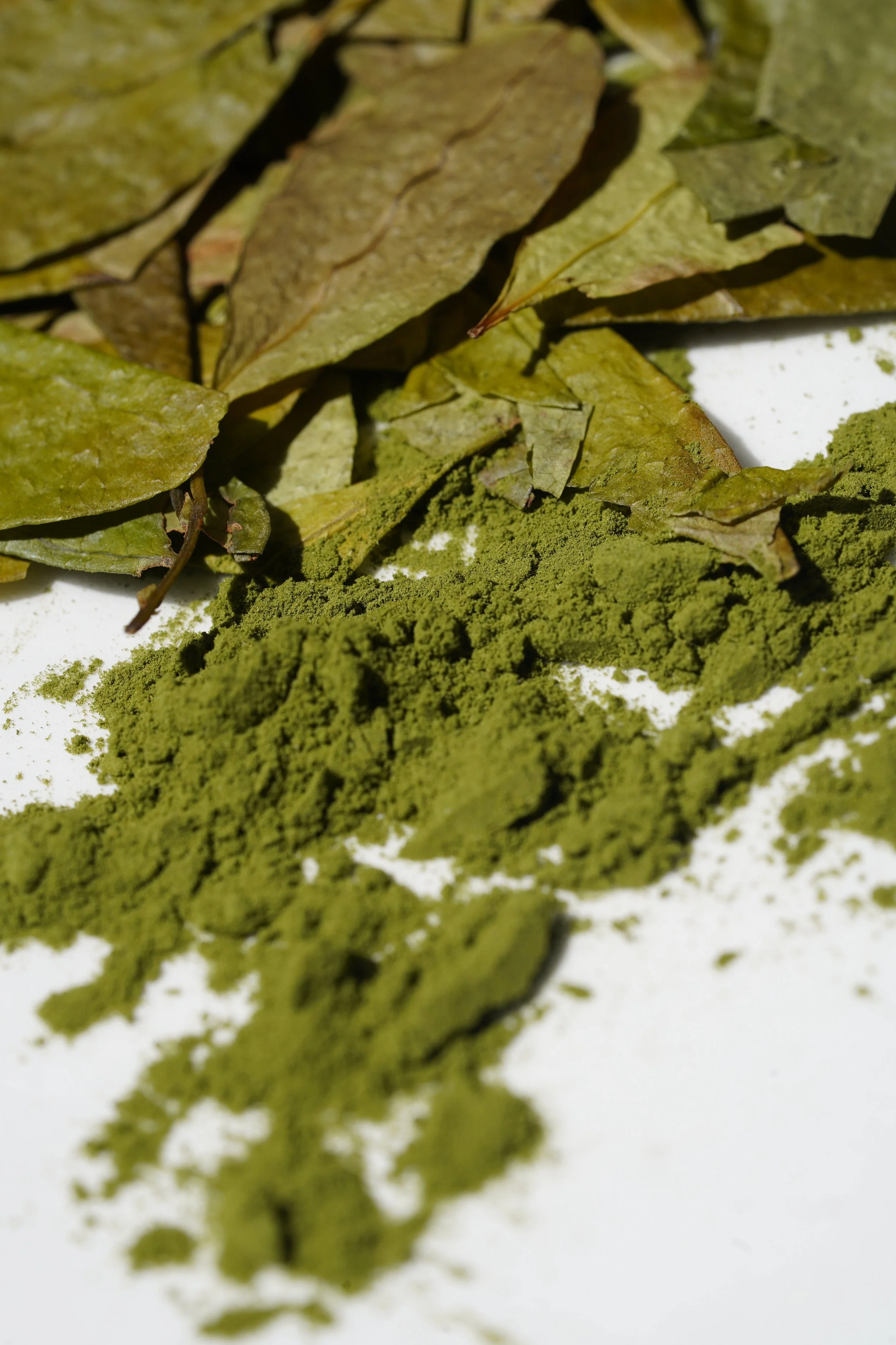 green mambe powder and coca leaves
