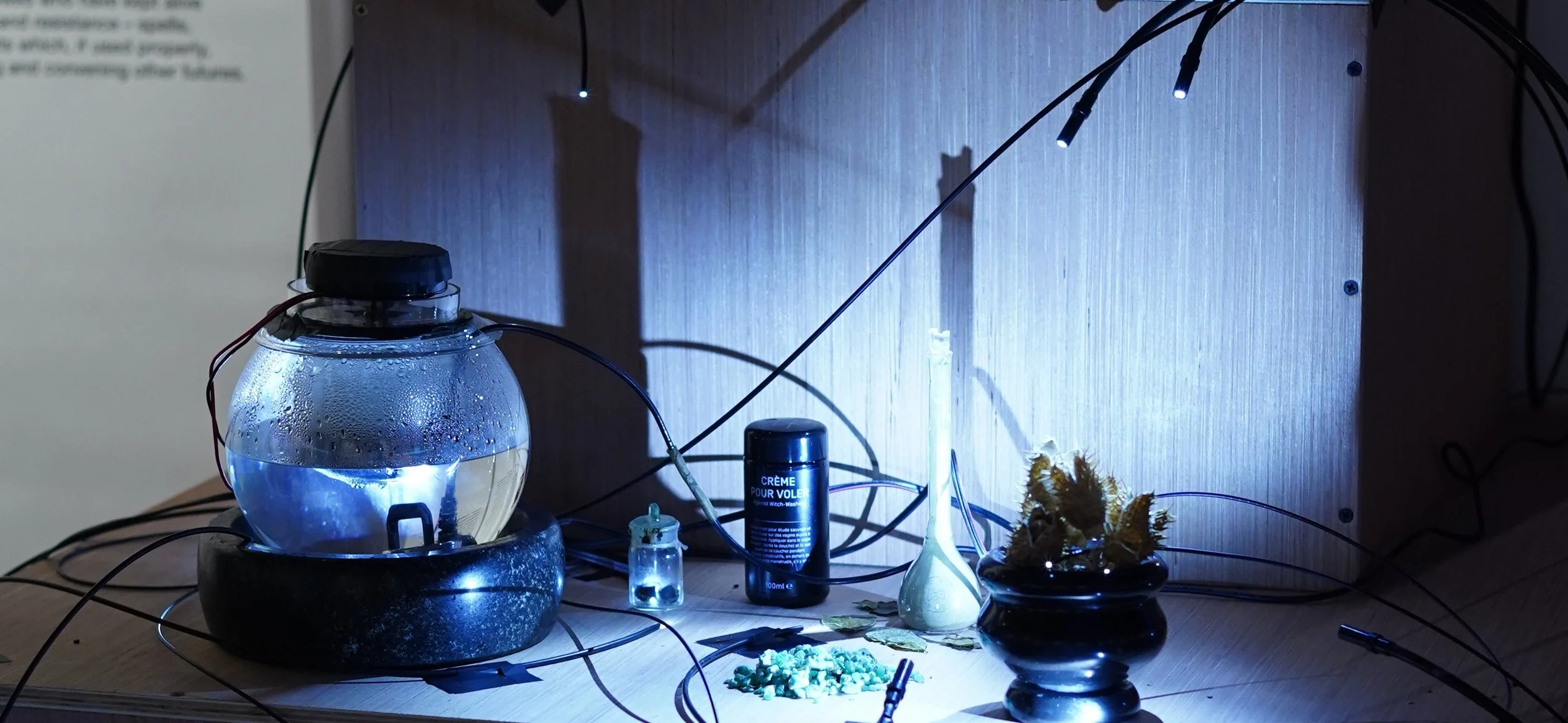 Details on the Installation of an Alkaloid Extractor flying cream exhibition witches