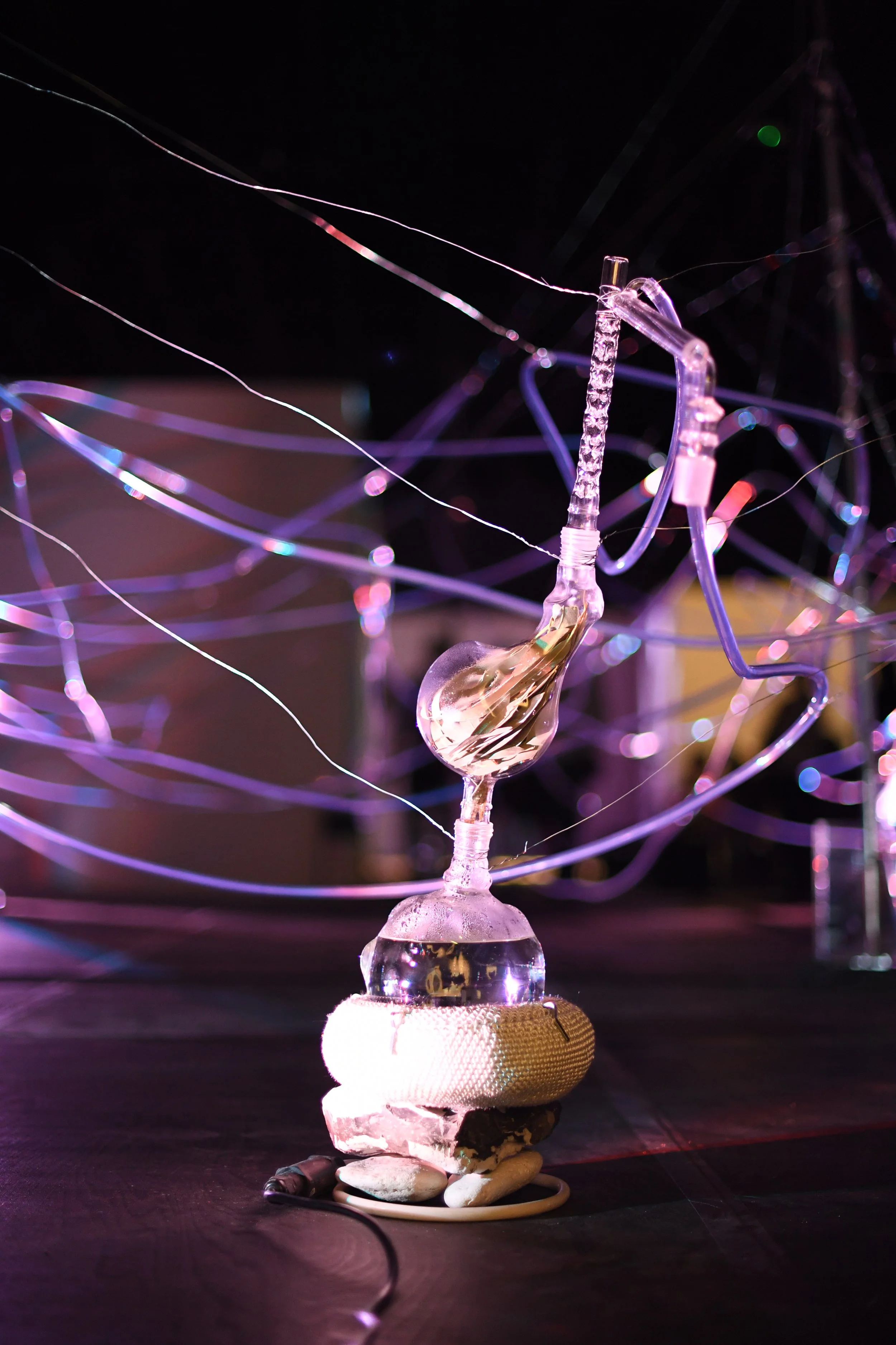 Close-up of a distiller with eucalyptus leaves suspended by metal wires and transparent tubes over a heating blanket; installation Basic Transmutation- Alien/ Migration,