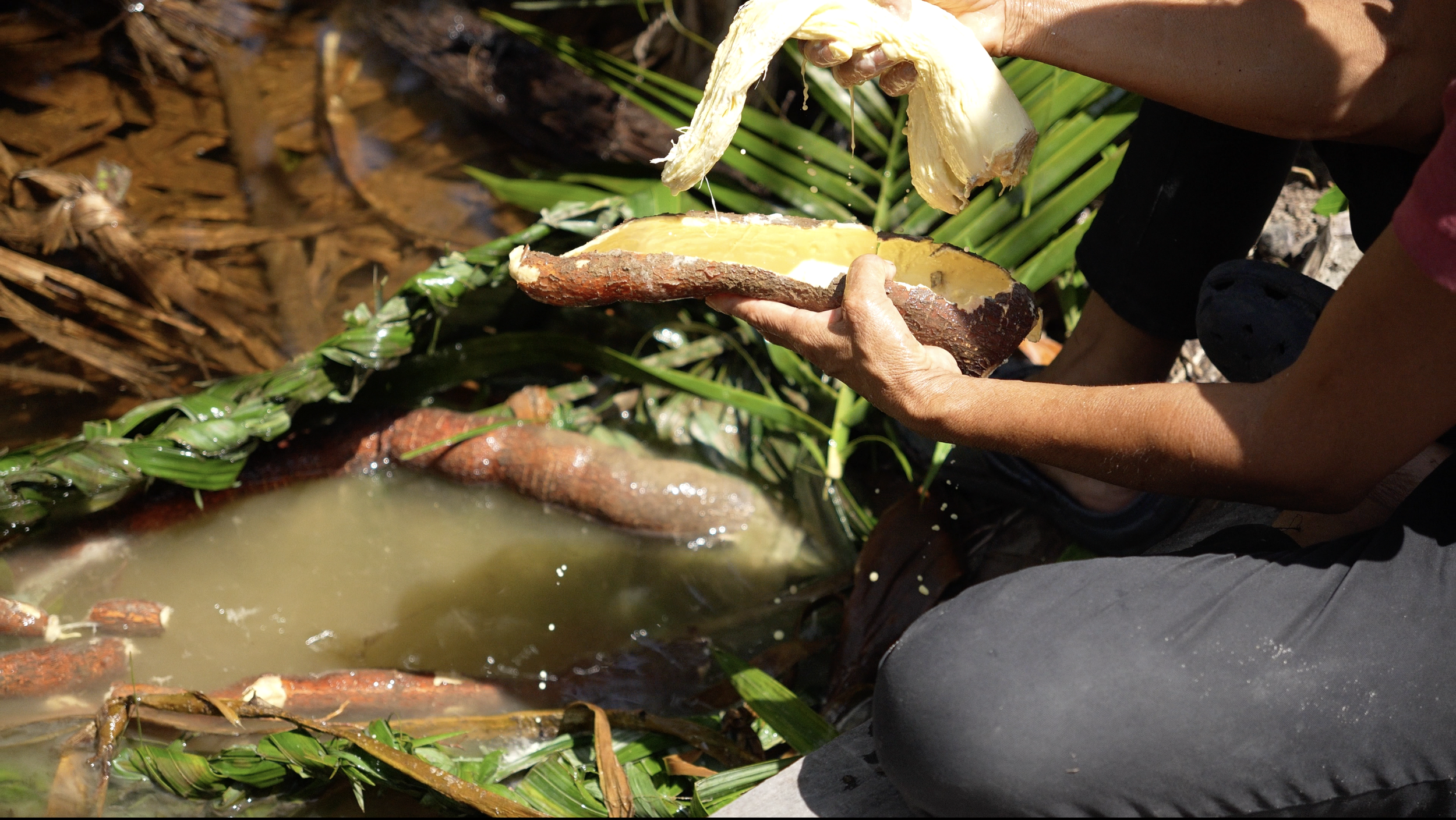 fermented cassava, hands, river