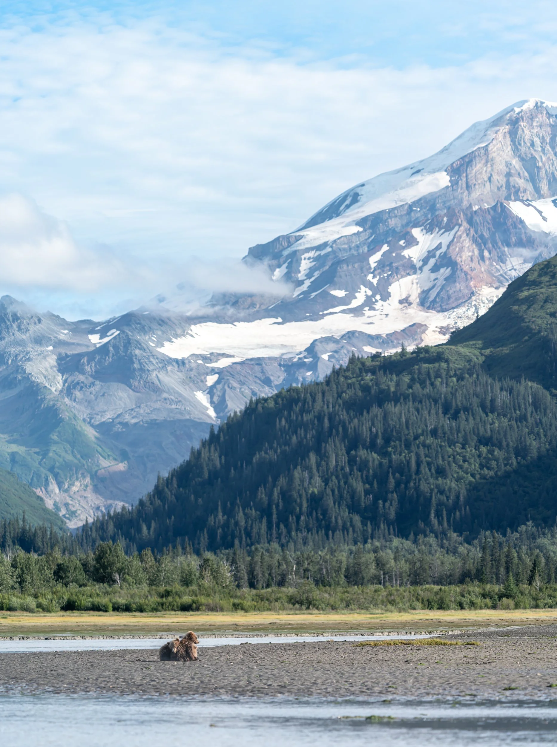 Two bears resting on a sandy riverbank with lush green forests, mountains with snow caps, and a partly cloudy sky in the background.