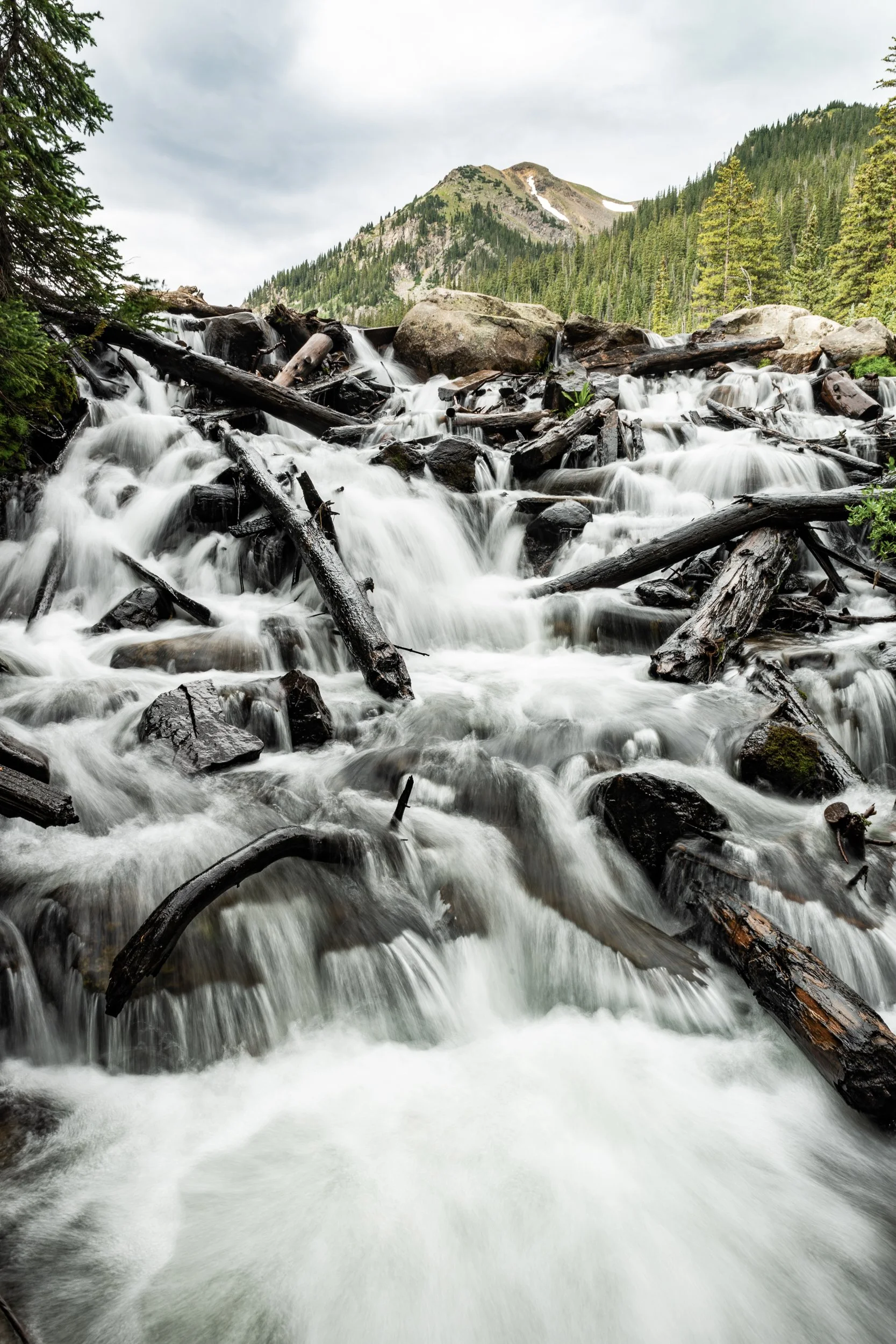 A mountain stream with rushing water, surrounded by rocks and fallen logs, with pine trees and a mountain in the background under a cloudy sky.