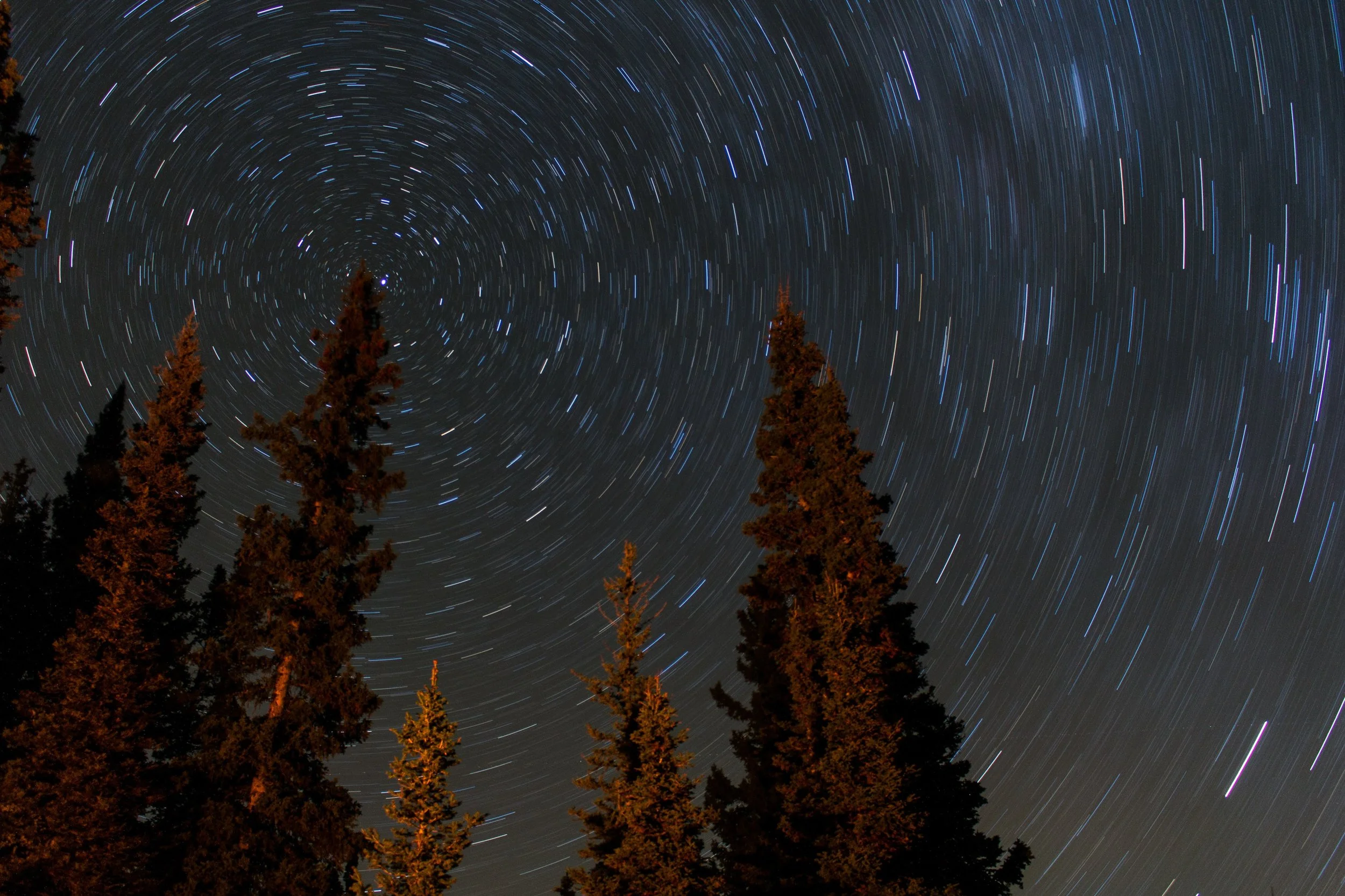 Long exposure photograph of star trails in the night sky above tall trees, creating circular streaks of stars.