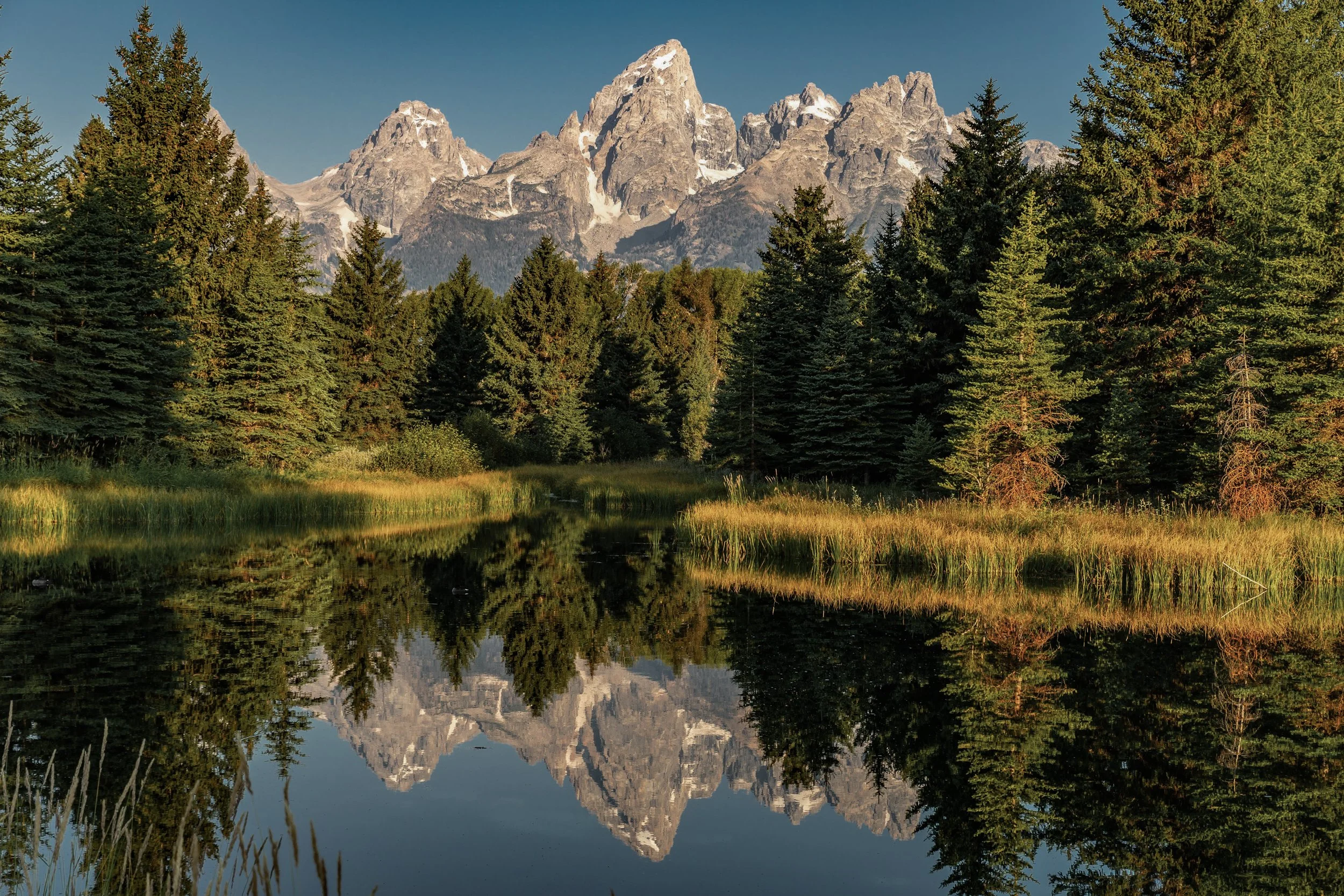 Mountain landscape with snow-capped peaks, dense green pine forest, and a calm reflective body of water in the foreground.