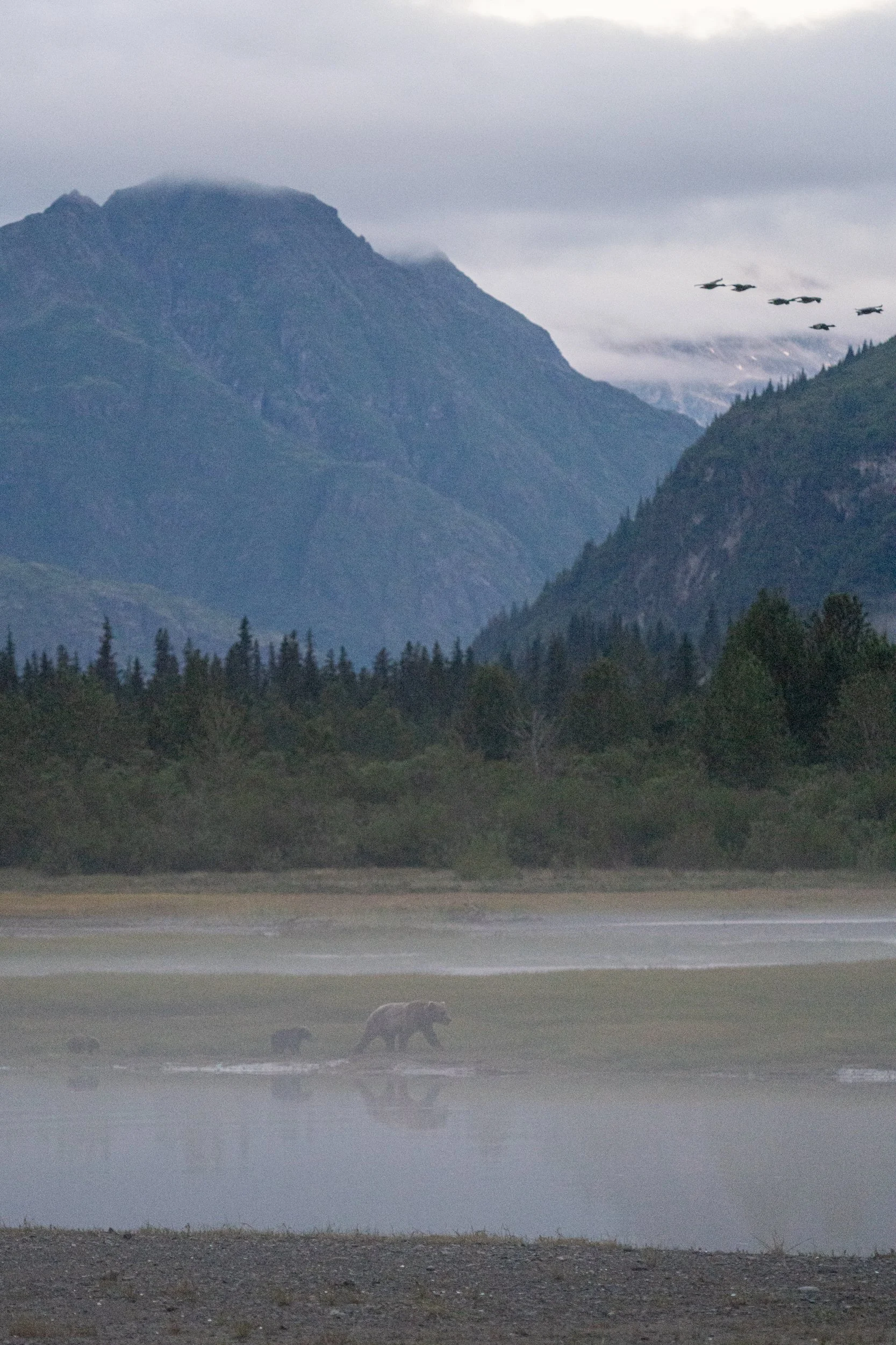 A mountain landscape with cloudy sky and a formation of six fighter jets flying in a V-shape heading towards the right. In the foreground, there are bears near a body of water.