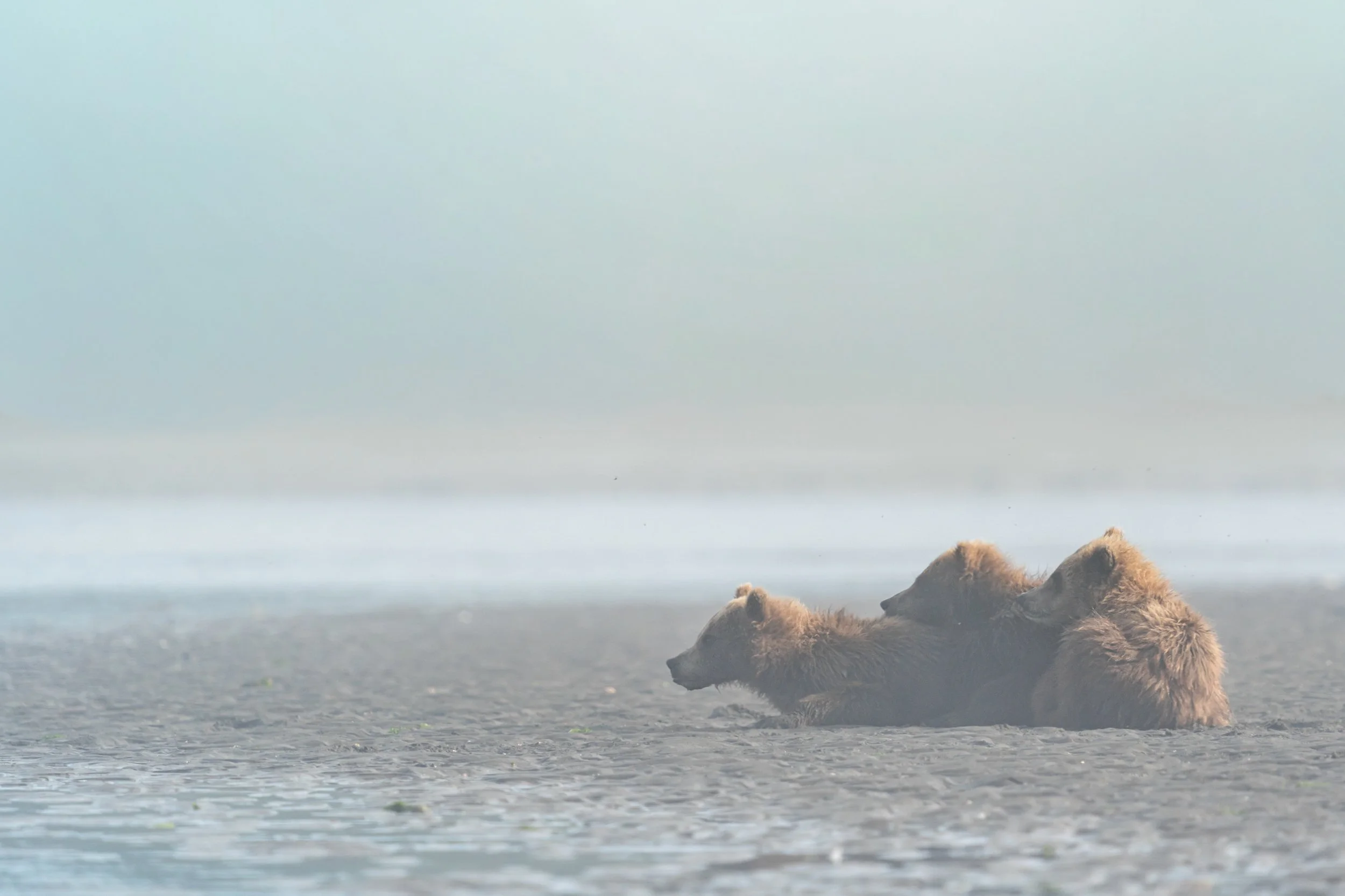 Rock formations on a beach with calm water and a hazy sky.