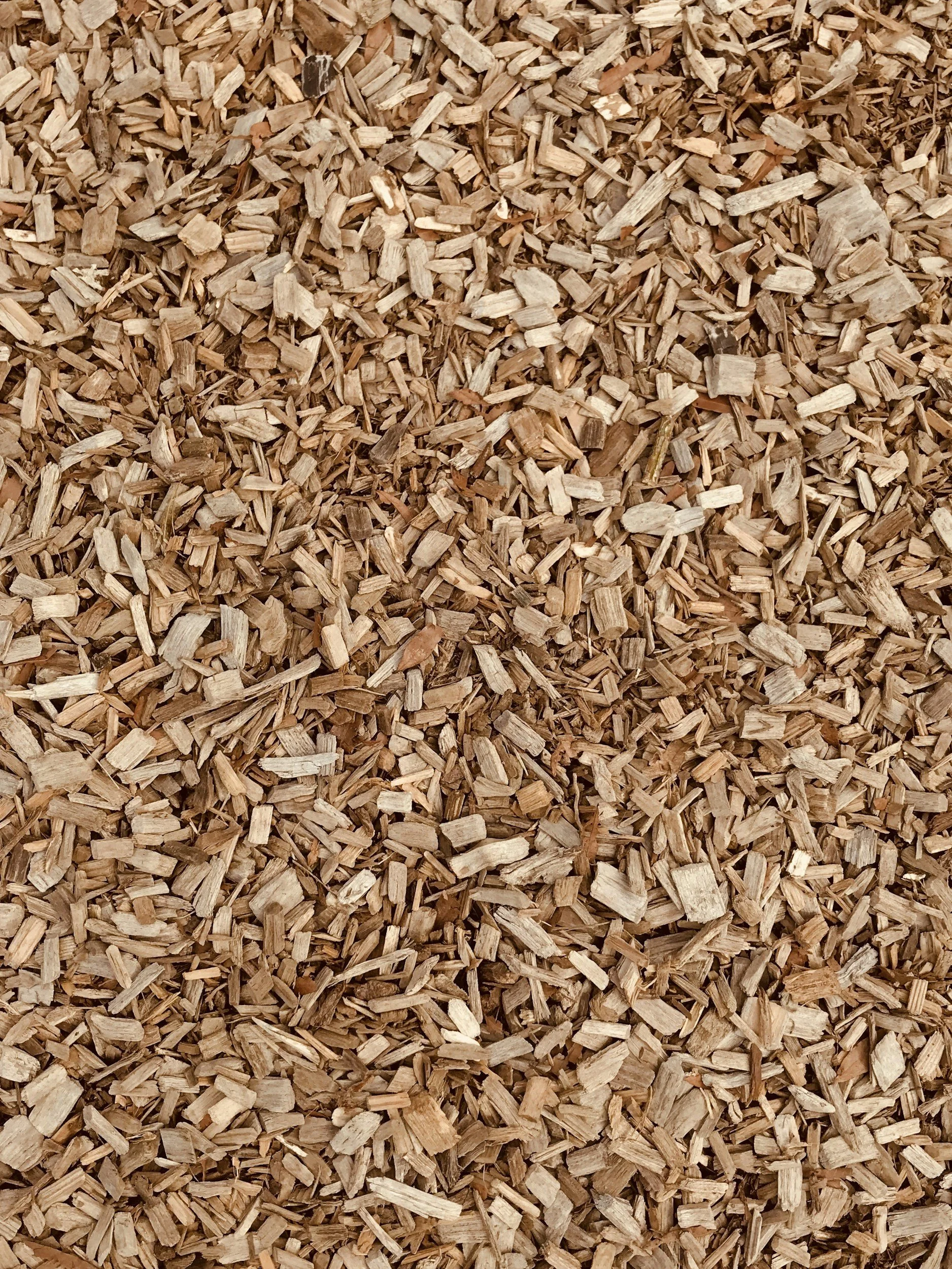 Close-up of wood chips or mulch.