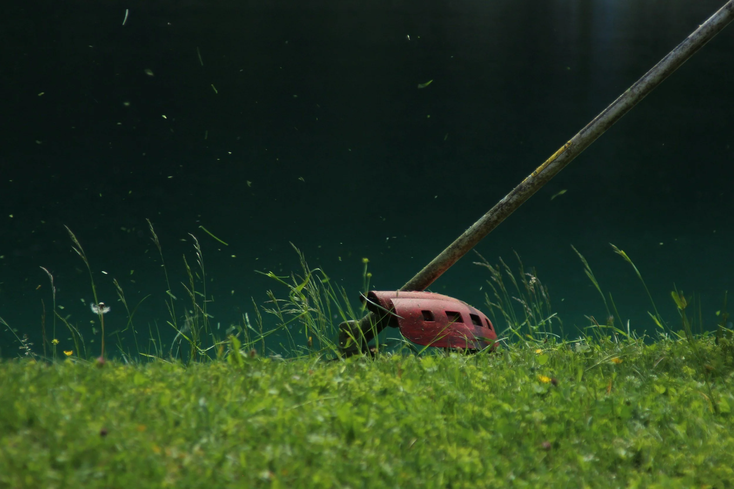 A garden lawn with dry grass cuttings and a hedge trimmer lying on the grass, with the dark exterior of a house in the background.