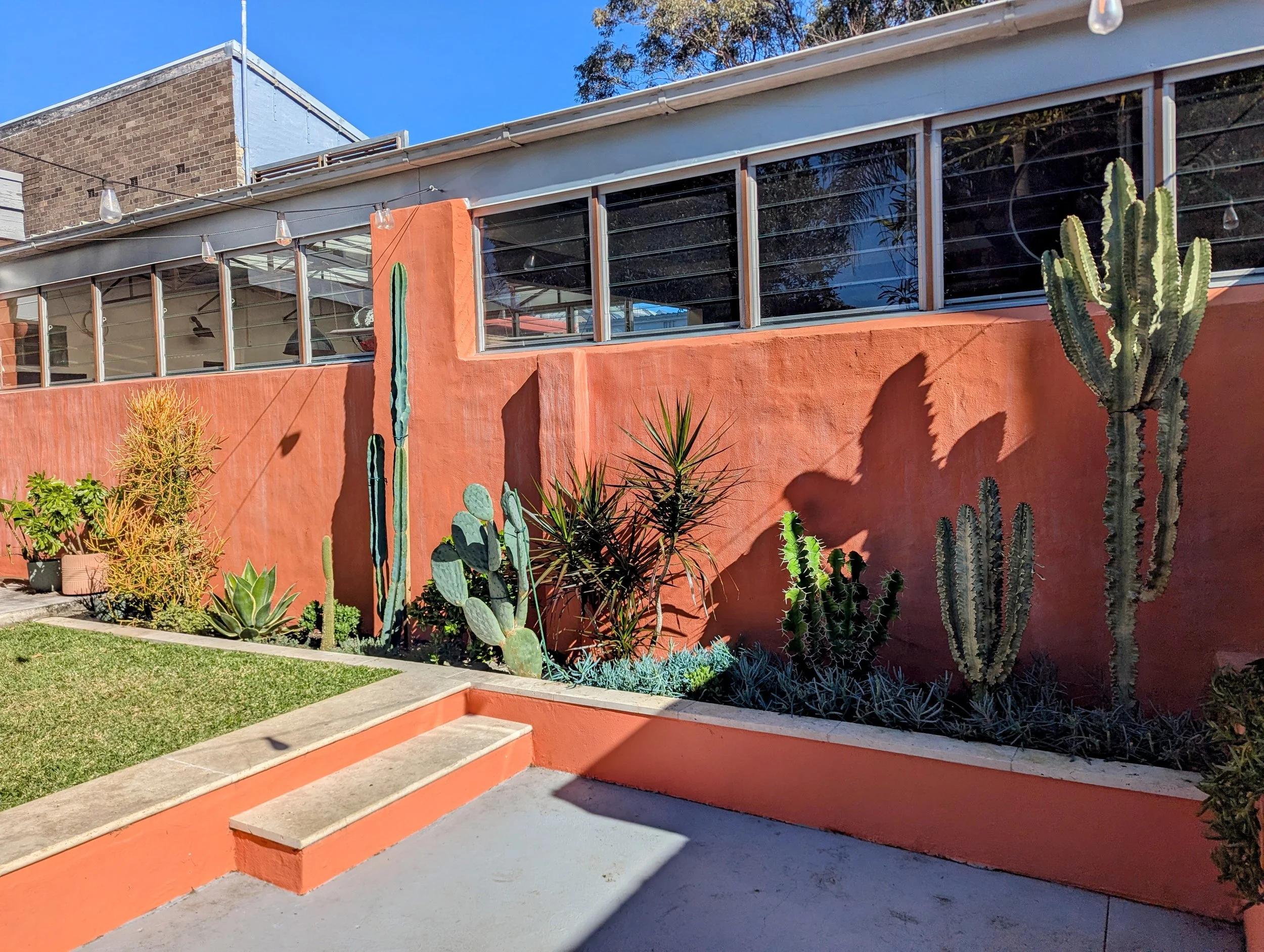 A building with large windows and a colorful garden with various cacti and succulents in front.
