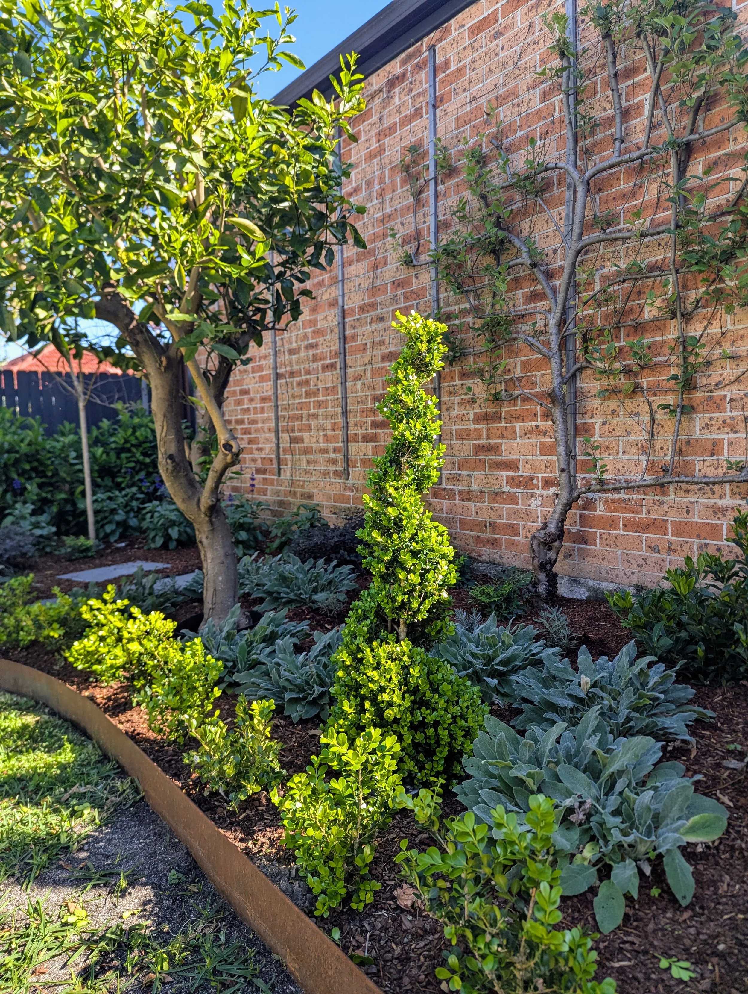 Garden with various plants and trees in front of a brick wall under a clear blue sky.