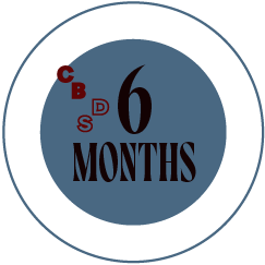 GROUP CLASS - 6-month-series