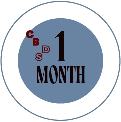 GROUP CLASS - month-long-series