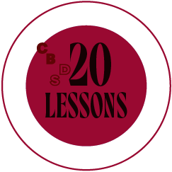 Private Session - 20 lessons